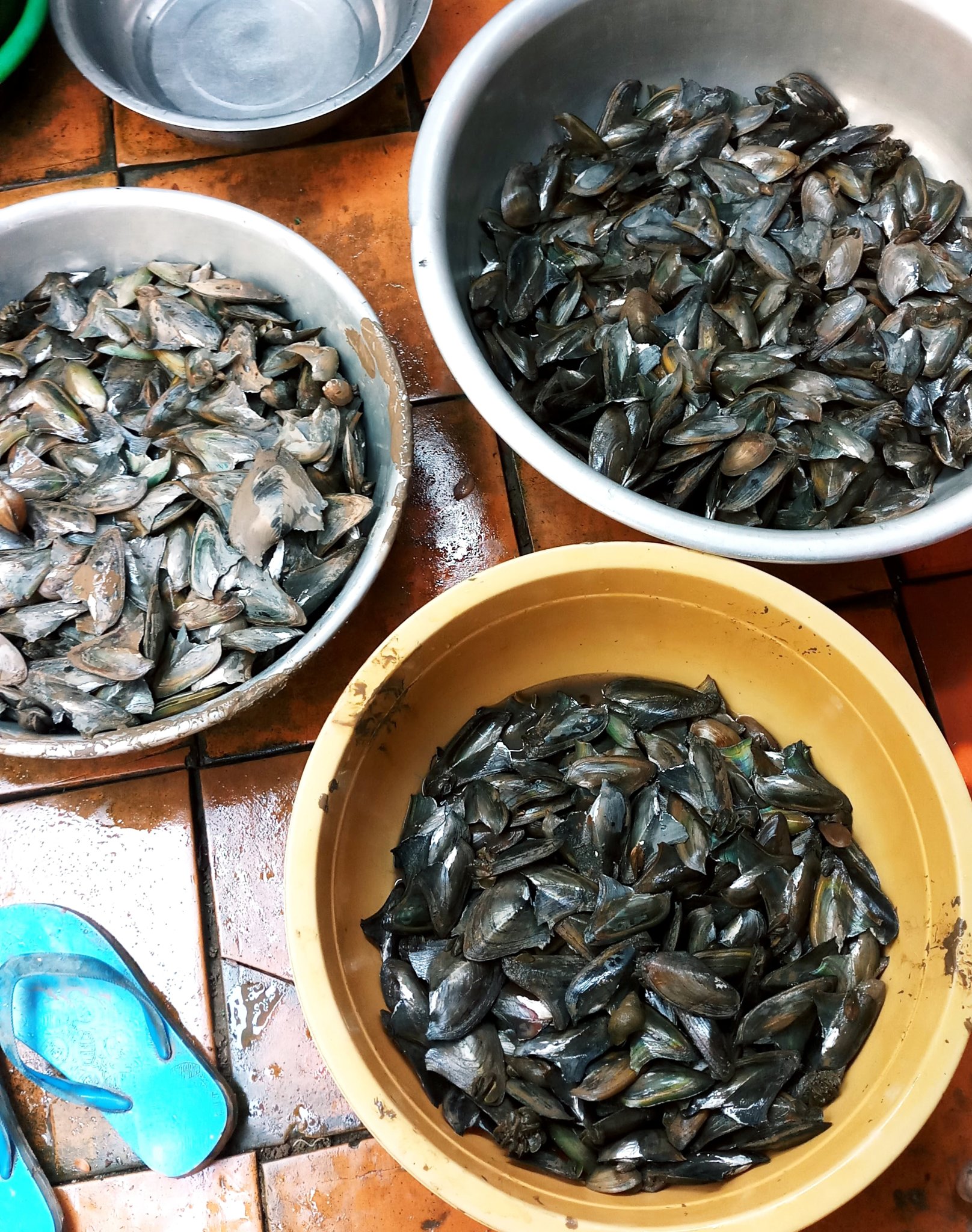 20181217_101152.jpg