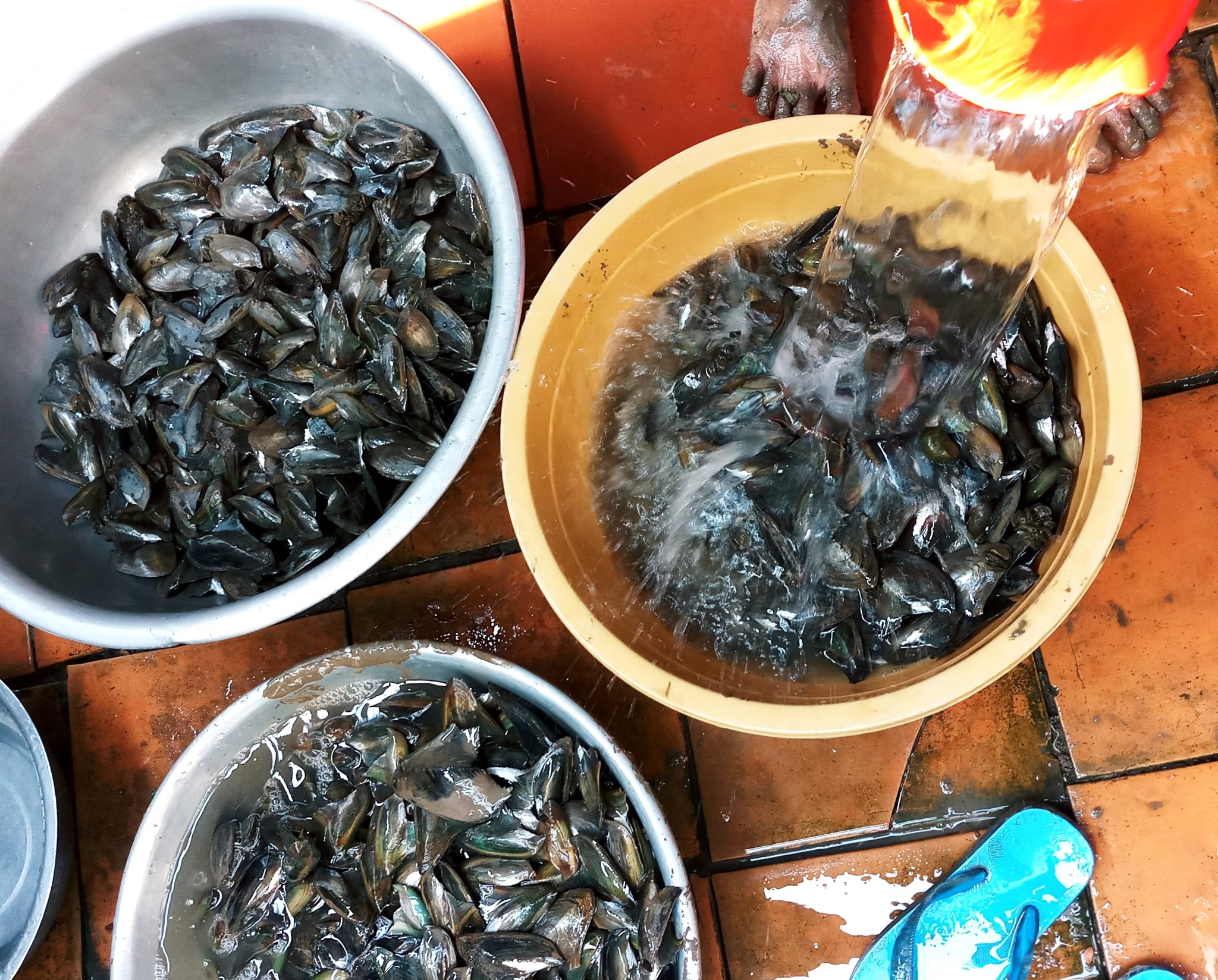 20181217_101341.jpg