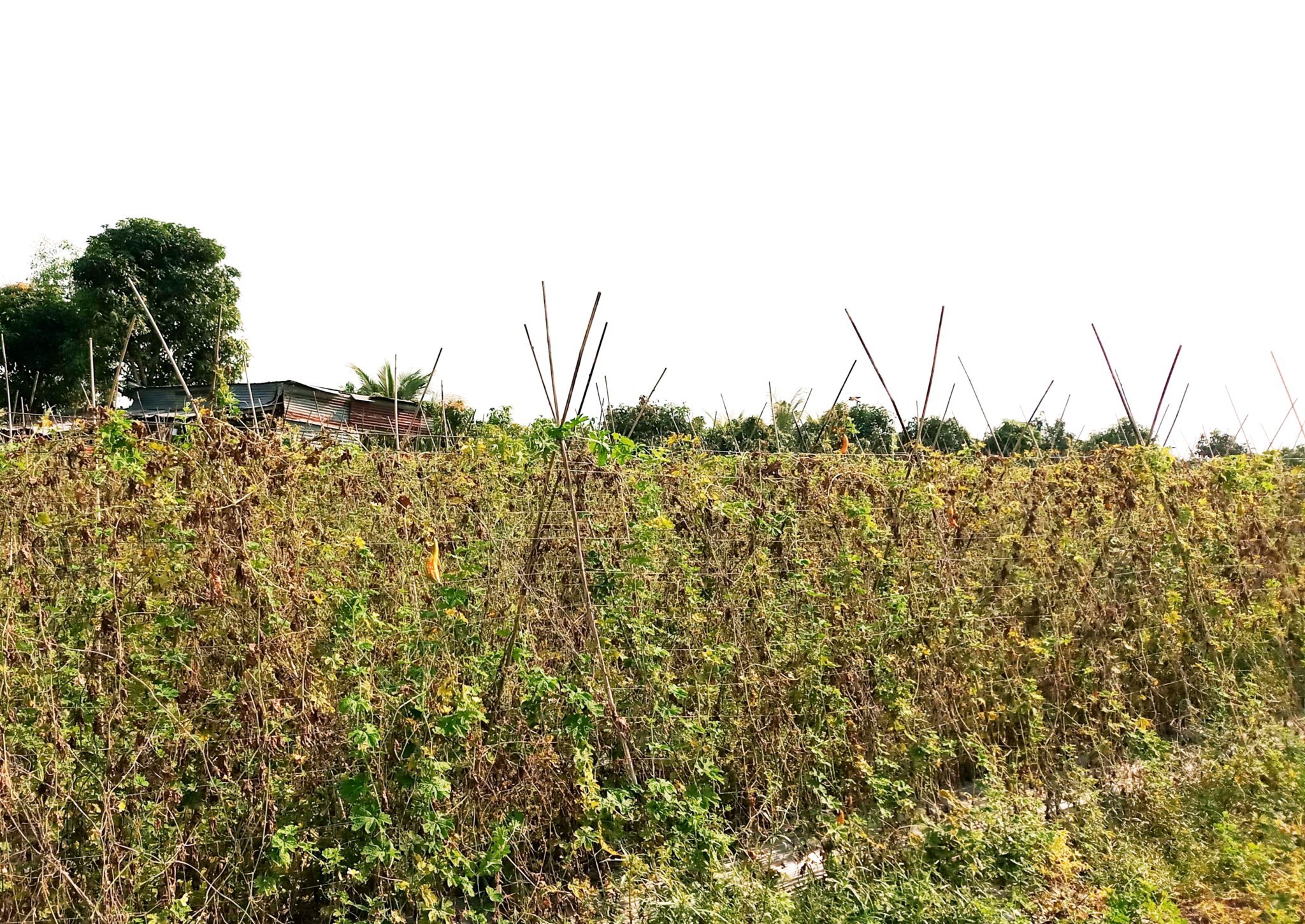 20181217_102726.jpg