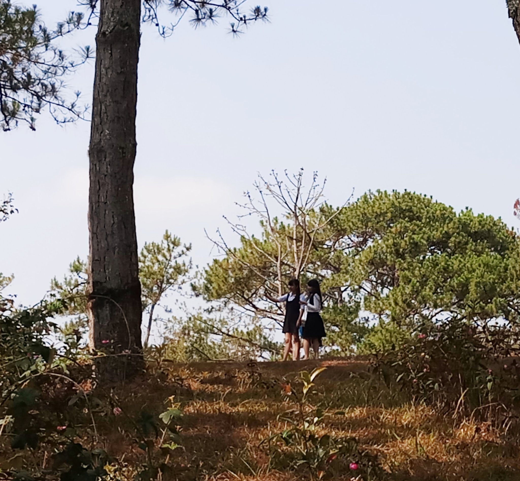 20181220_184547.jpg