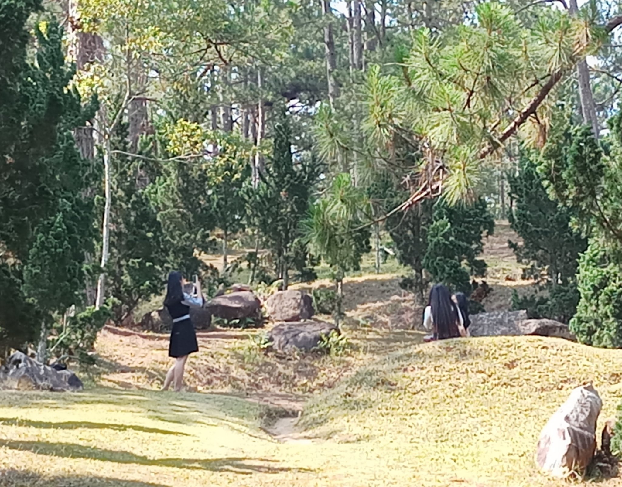 20181220_184906.jpg