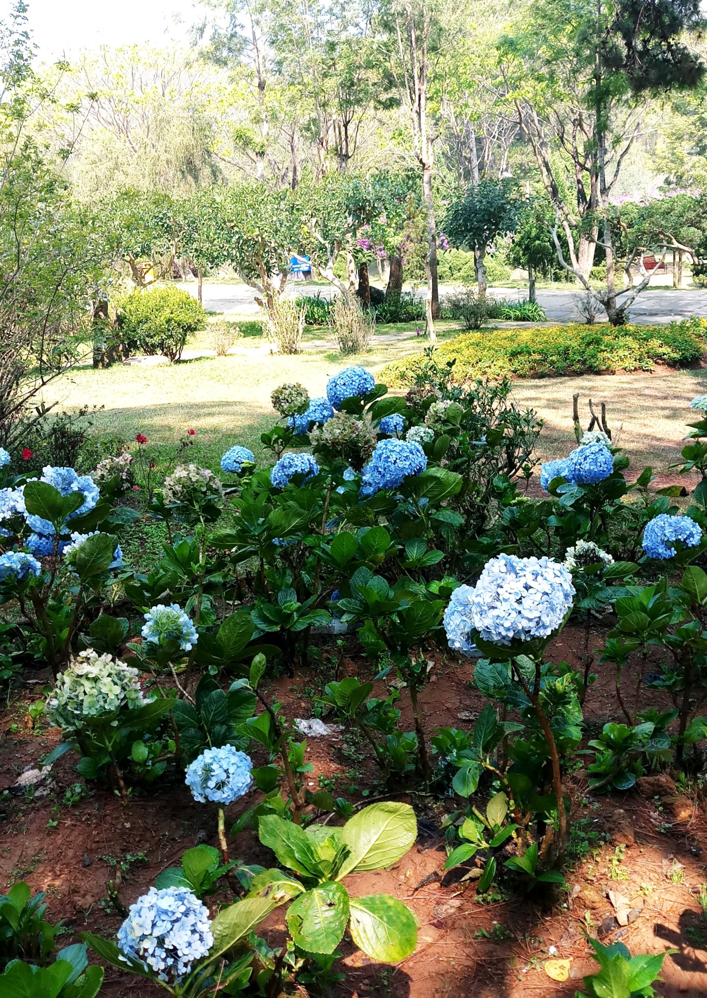 20181220_210045.jpg