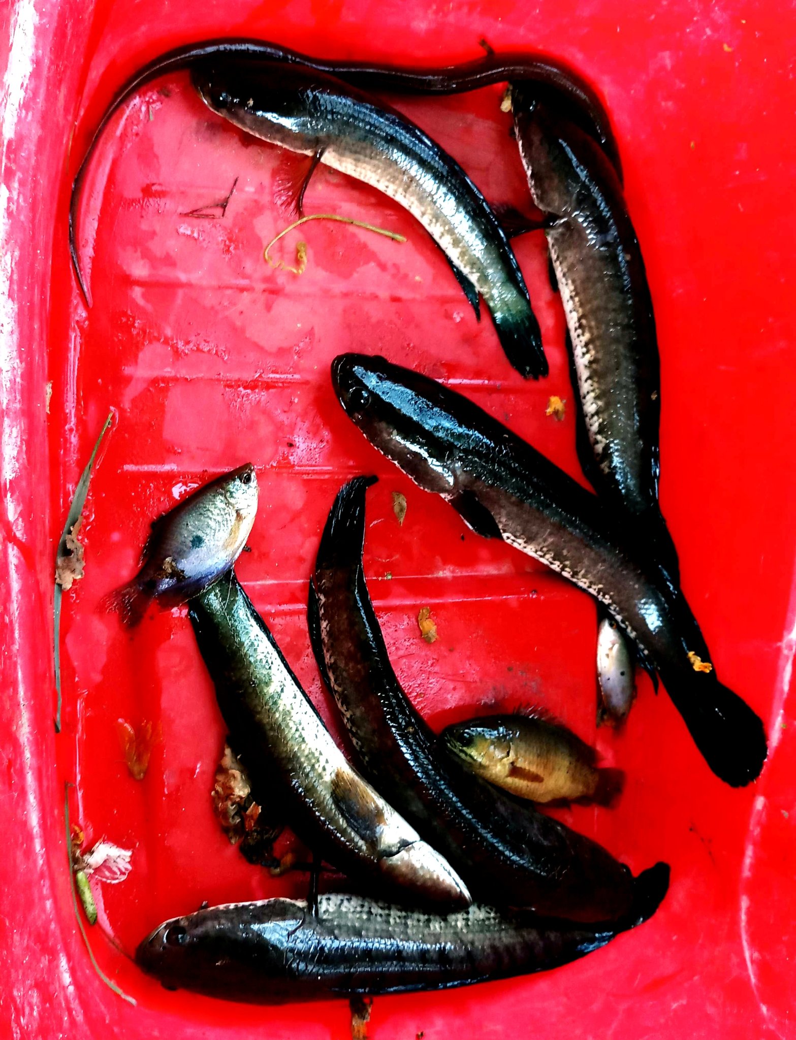 20181222_124357.jpg