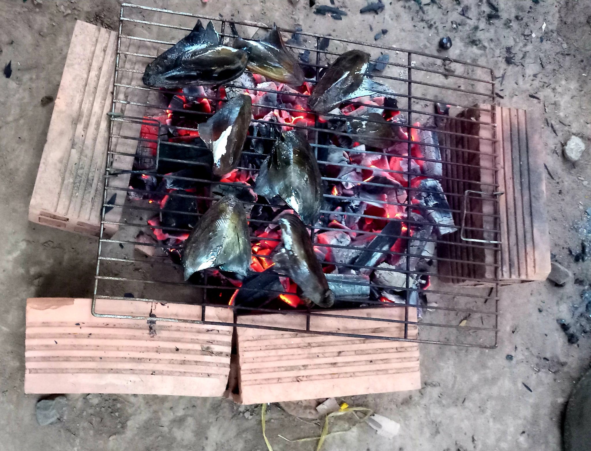 20181229_192751.jpg