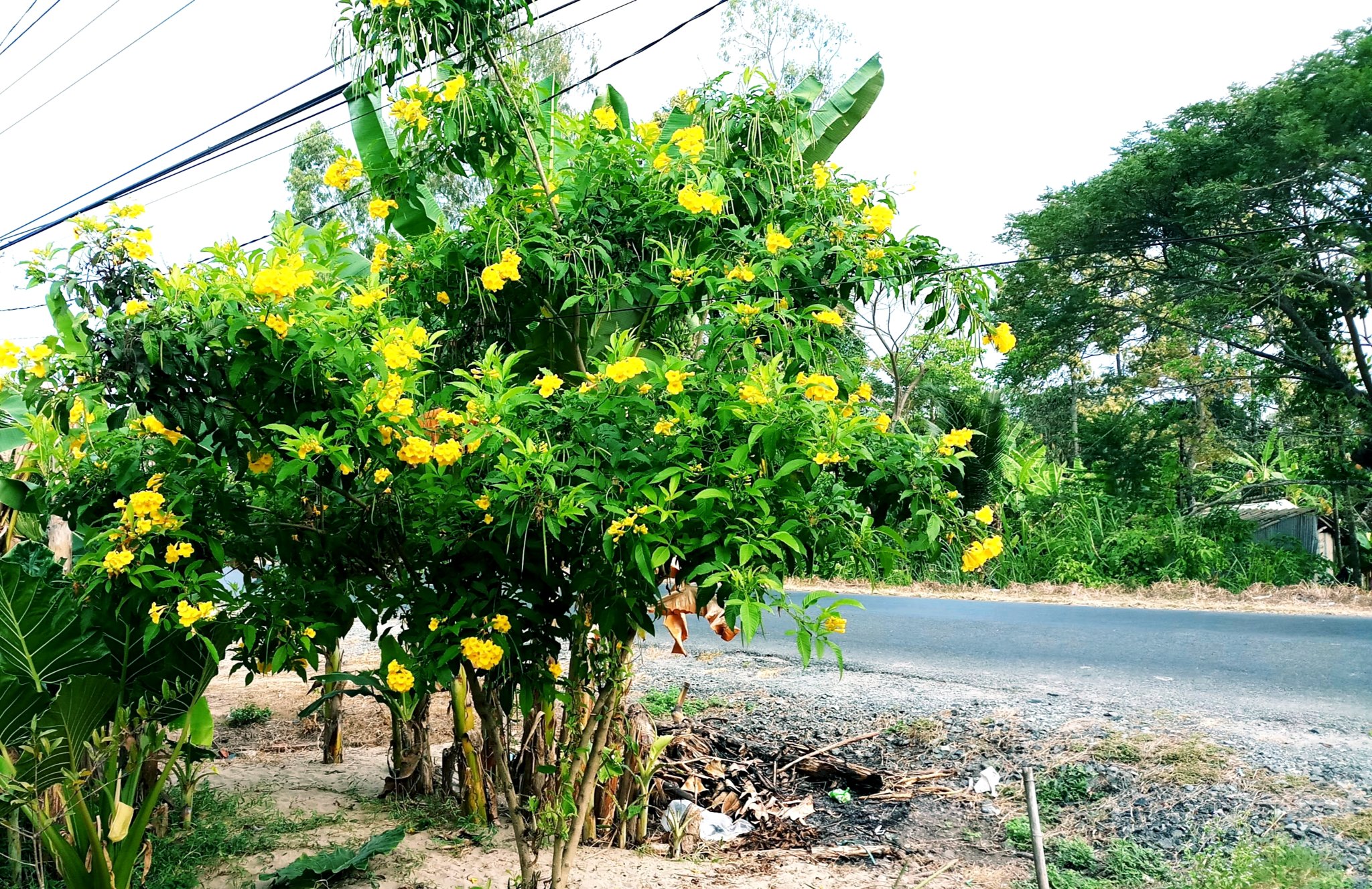 20190102_184232.jpg