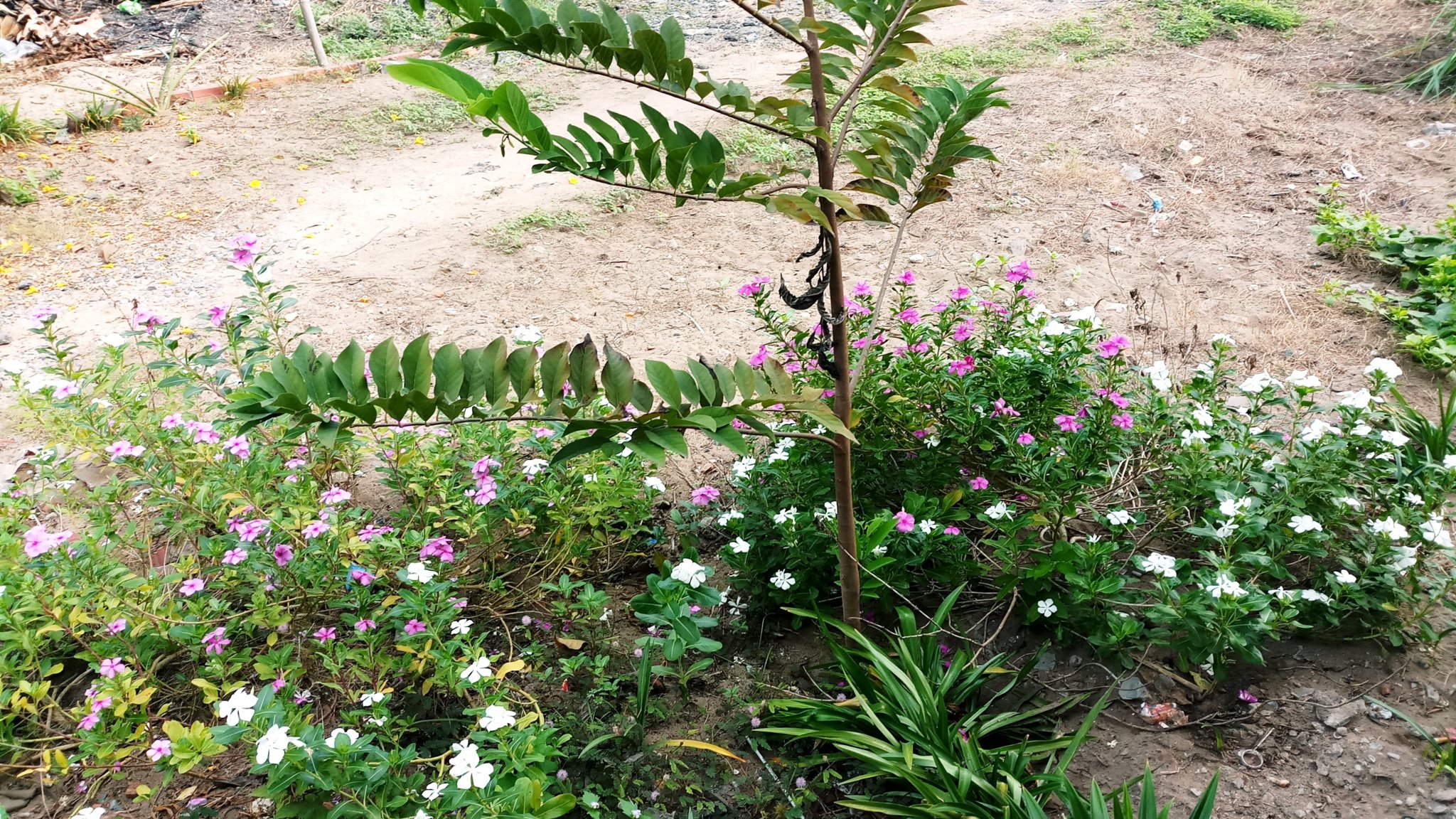 20190102_184308.jpg