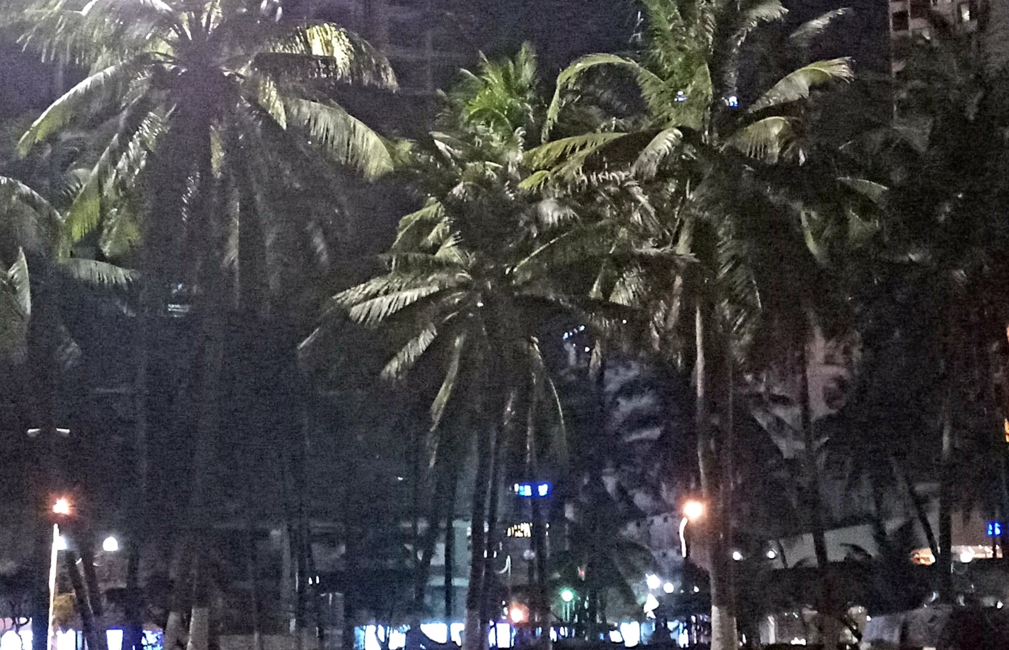 20190112_075749.jpg