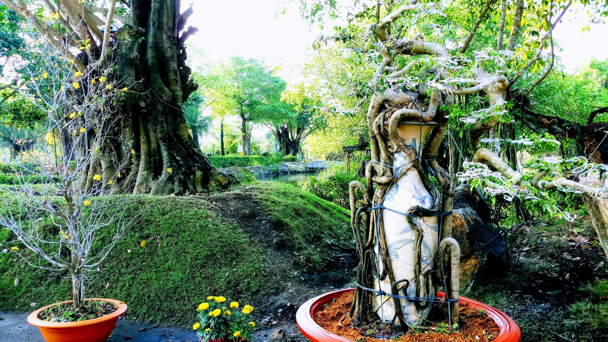 20190206_075031-EFFECTS.jpg