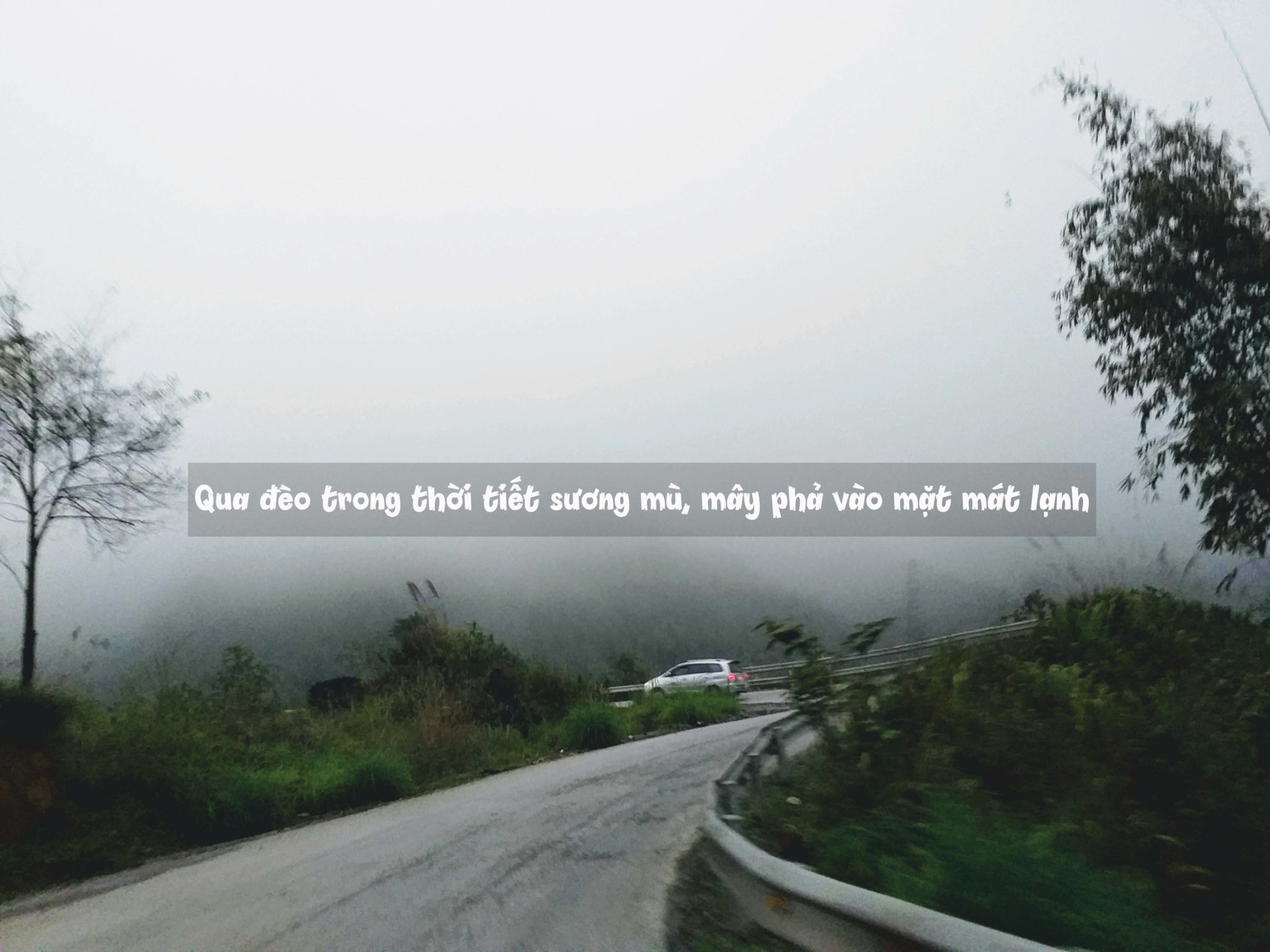 20190216_175157.jpg