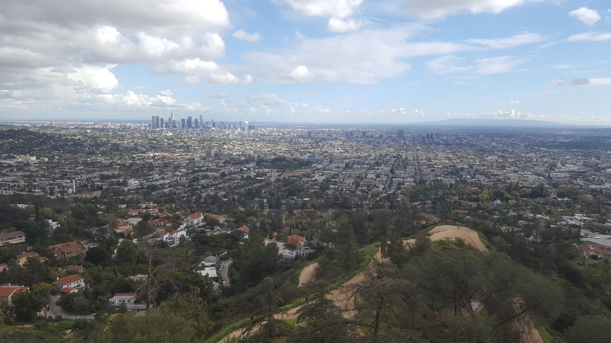 20190320_170116.jpg