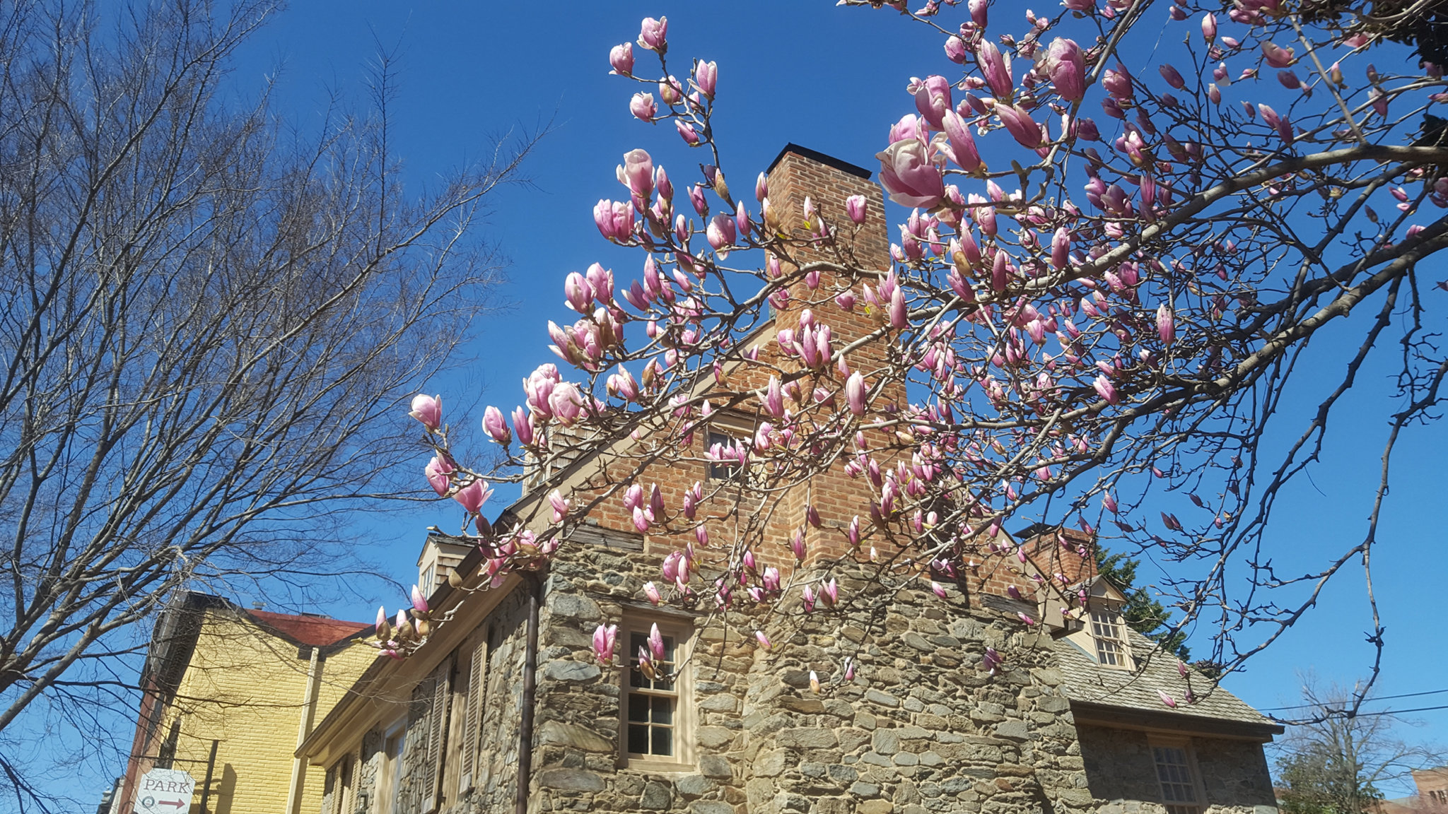 20190323_120015_resize.jpg