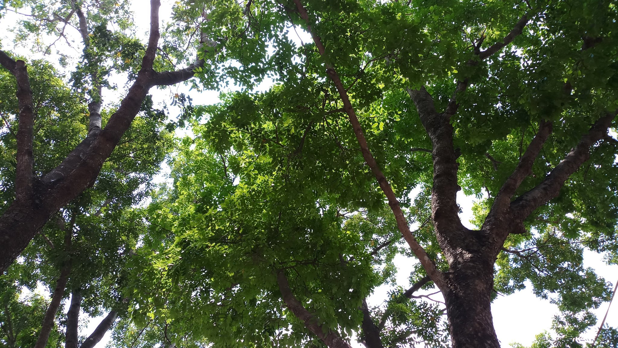 20190427_123528.jpg