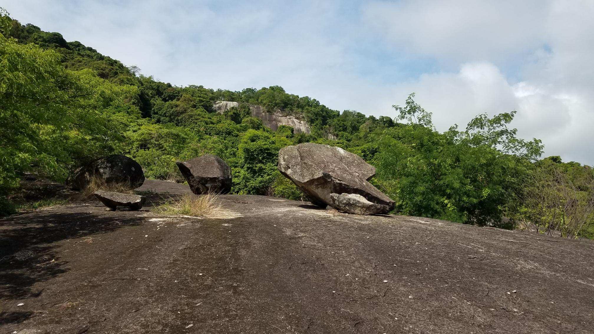 20190504_091955.jpg