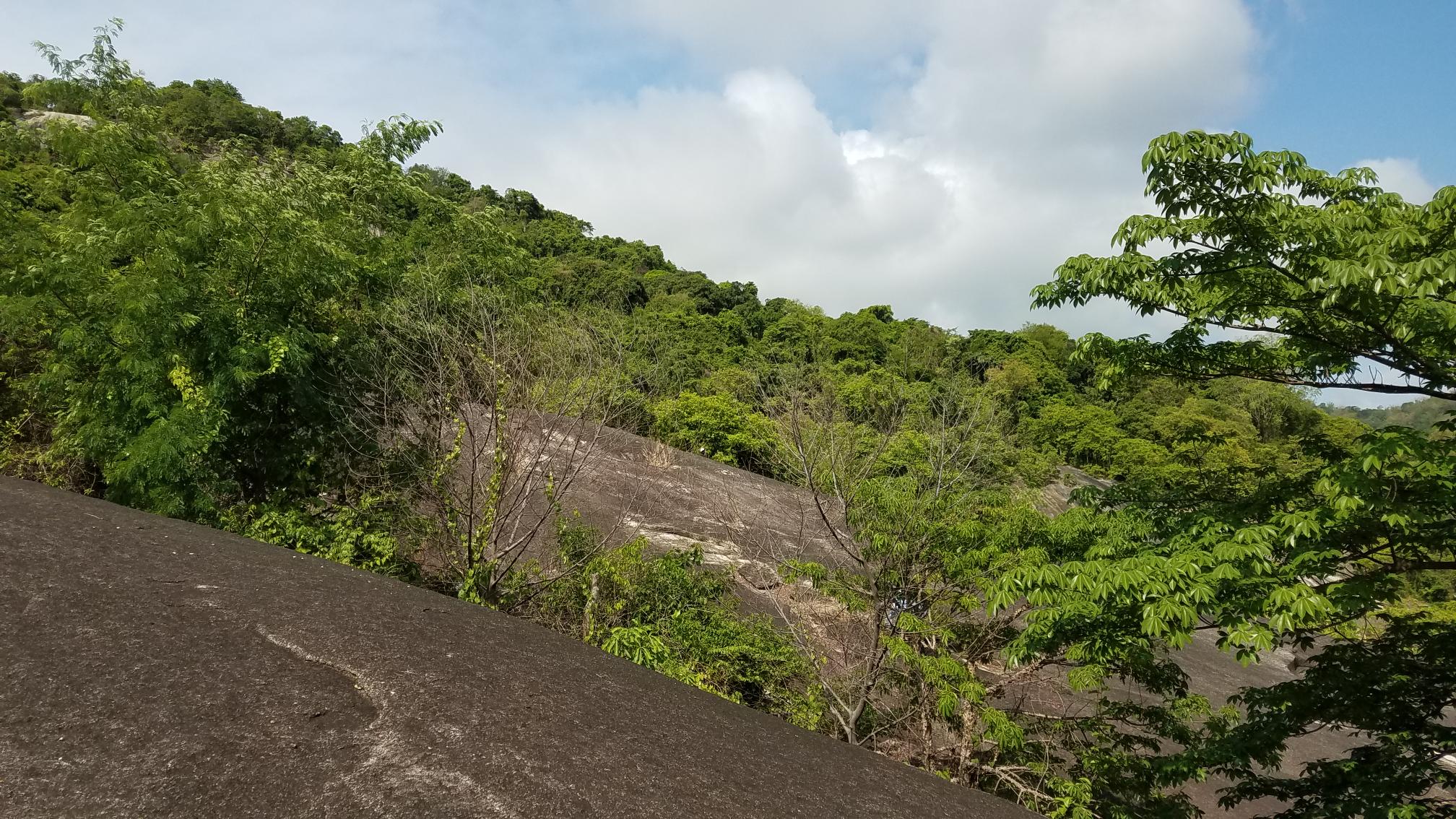 20190504_092006.jpg