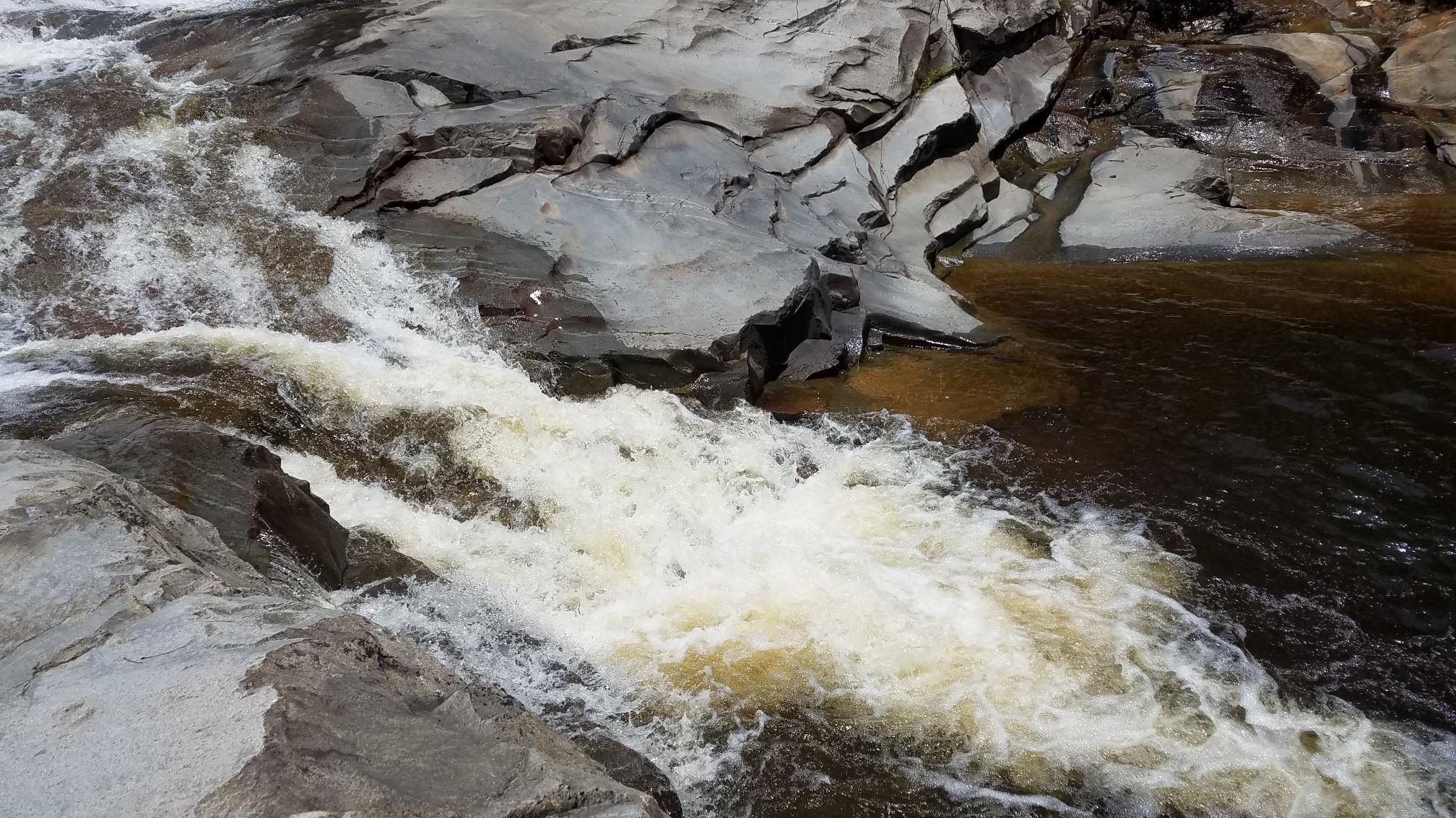 20190516_113419.jpg