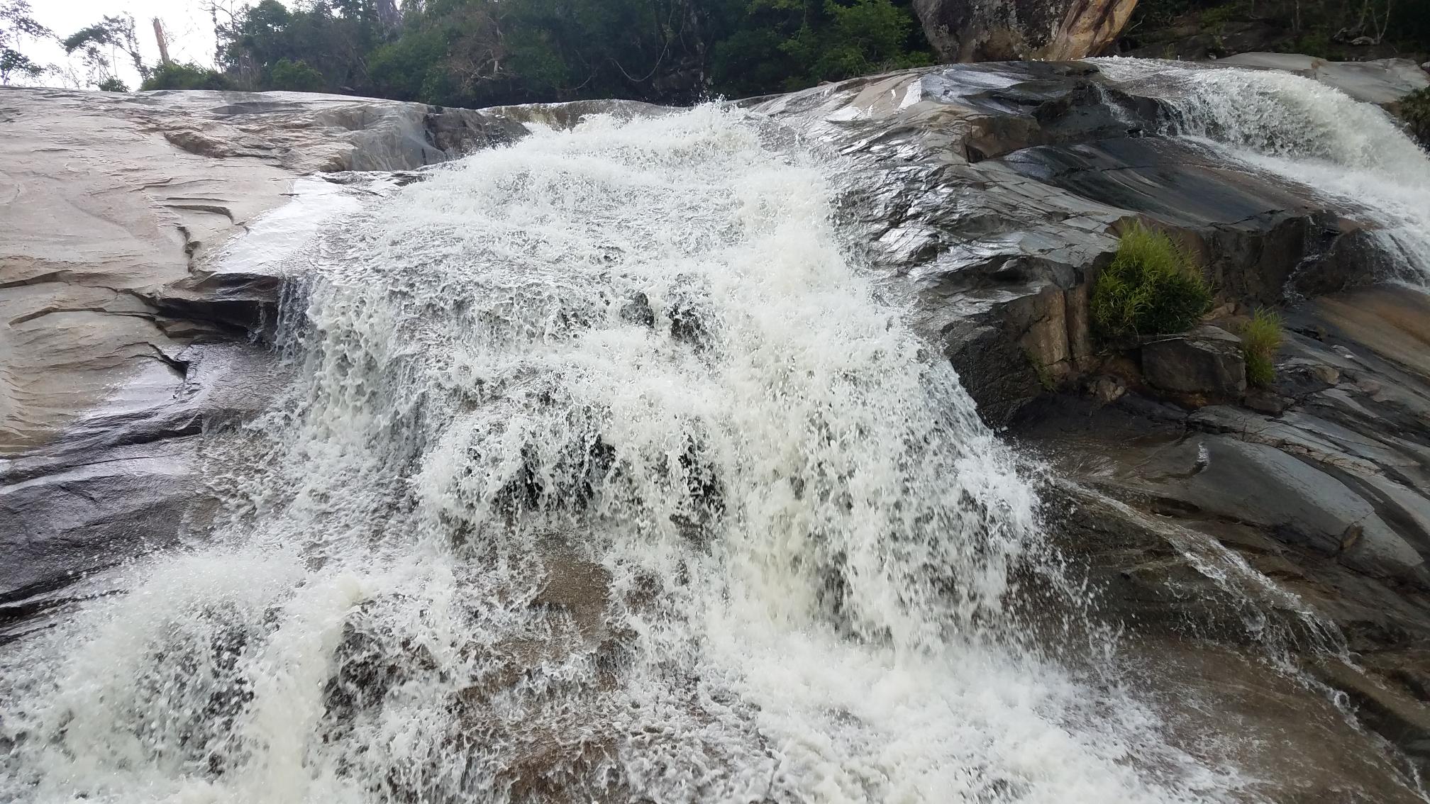 20190516_133344.jpg