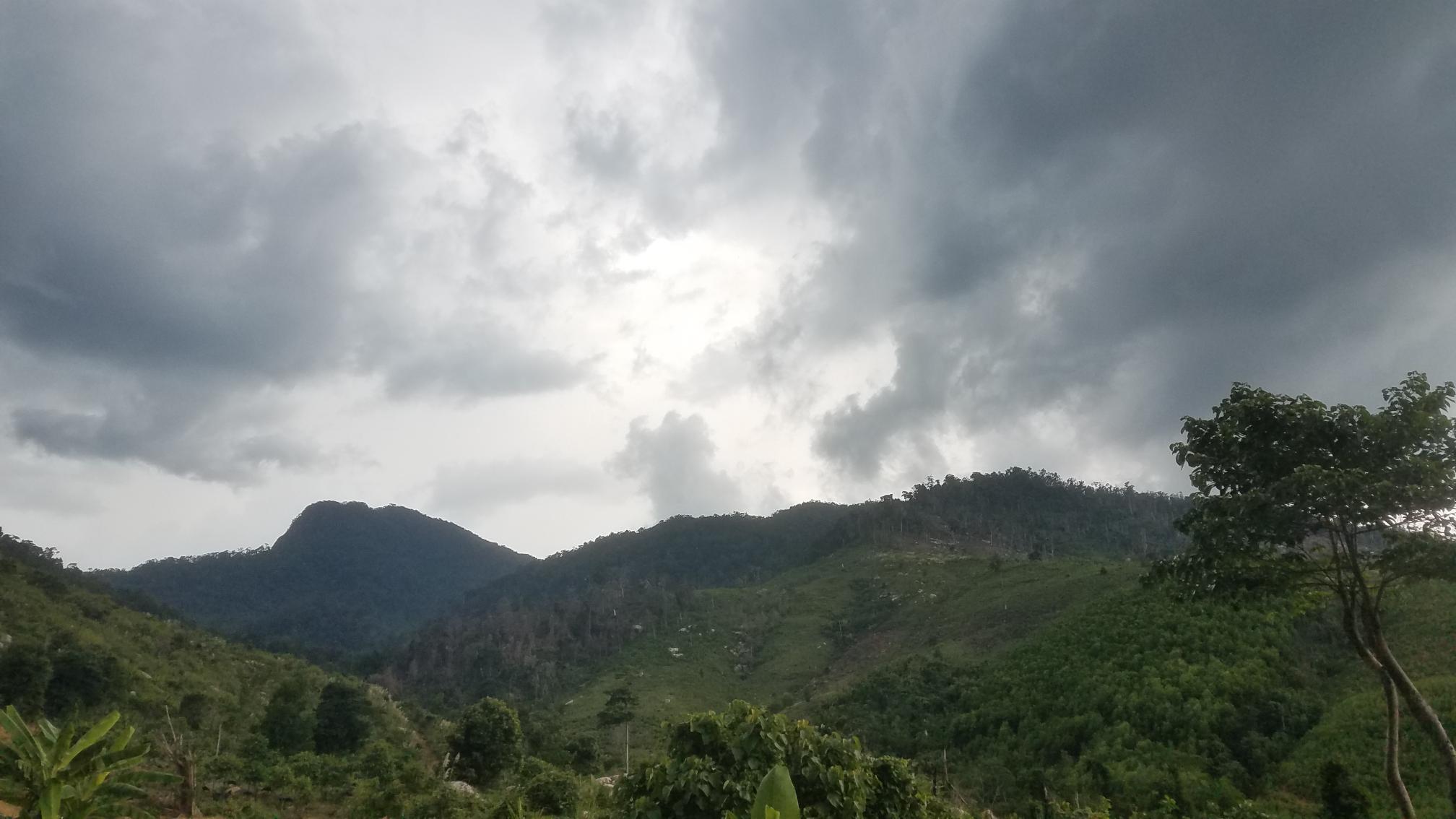 20190516_134253.jpg