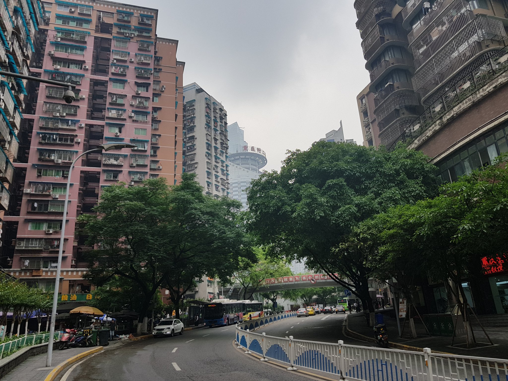 20190525_122933[1].jpg