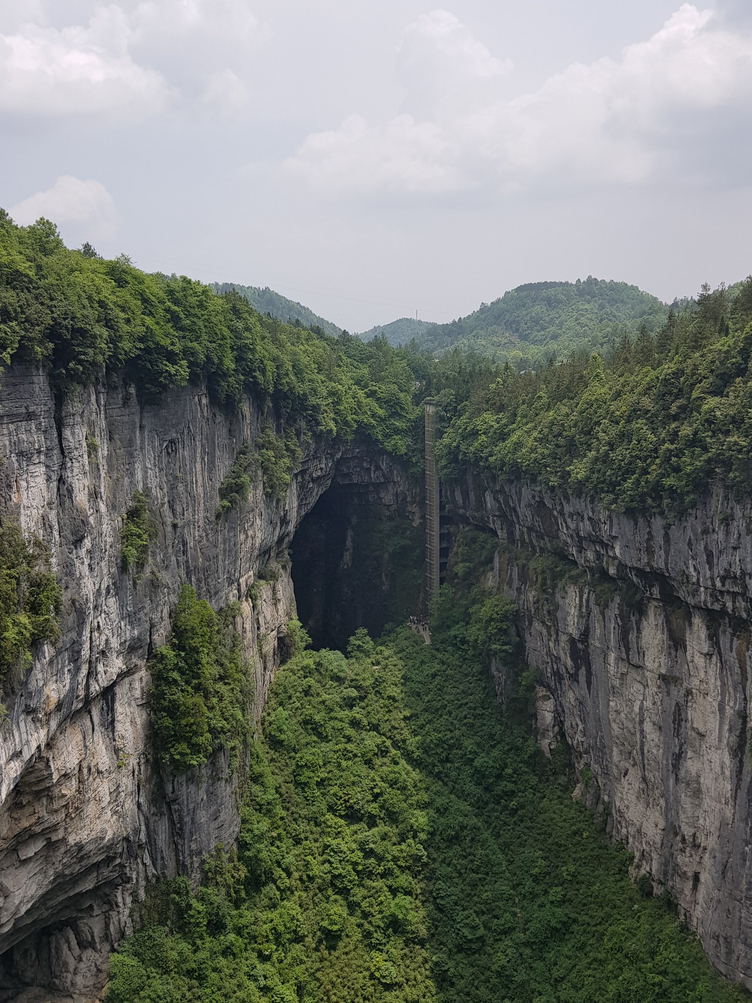 20190526_134512[1].jpg