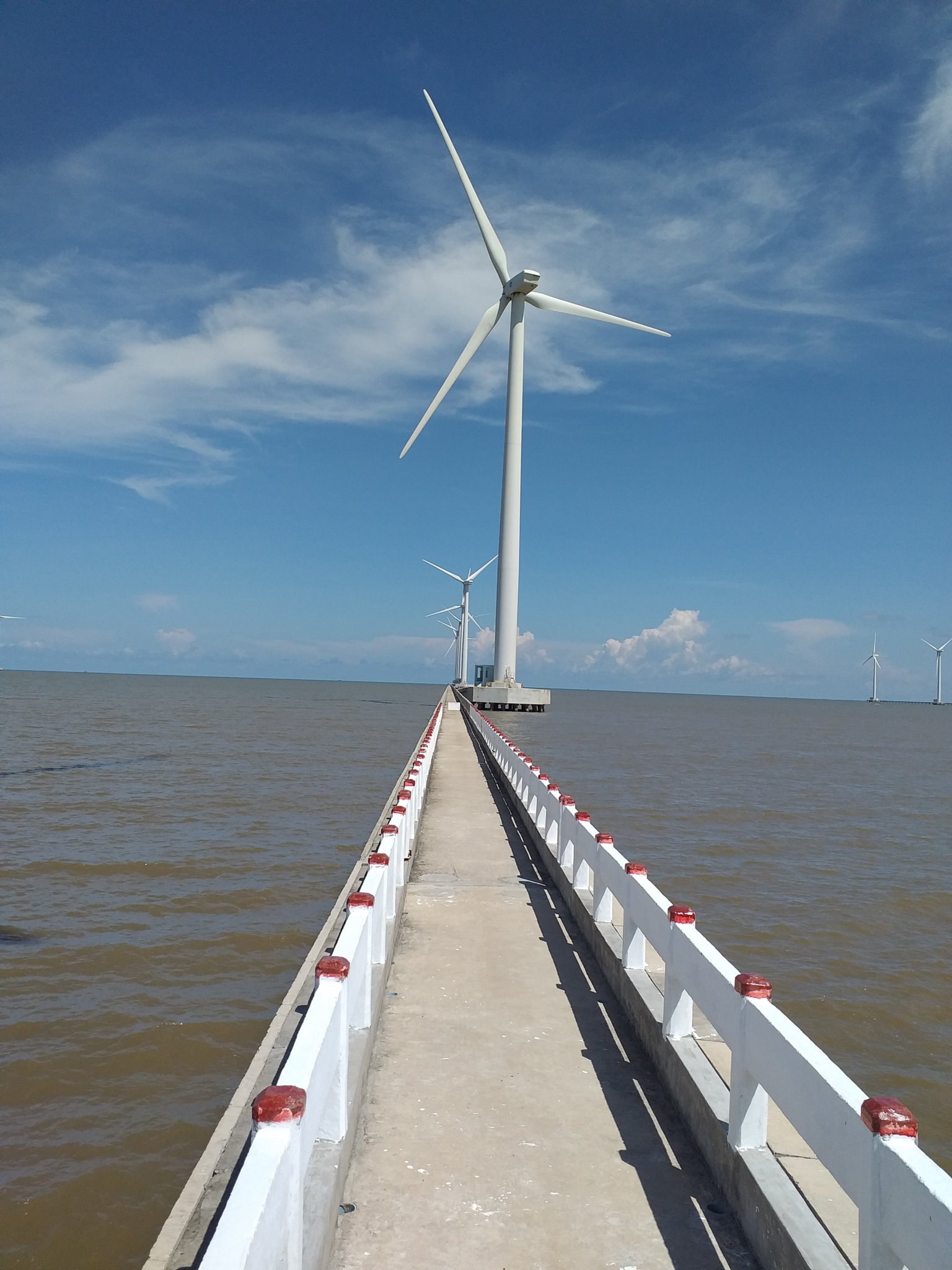 20190601_135706.jpg