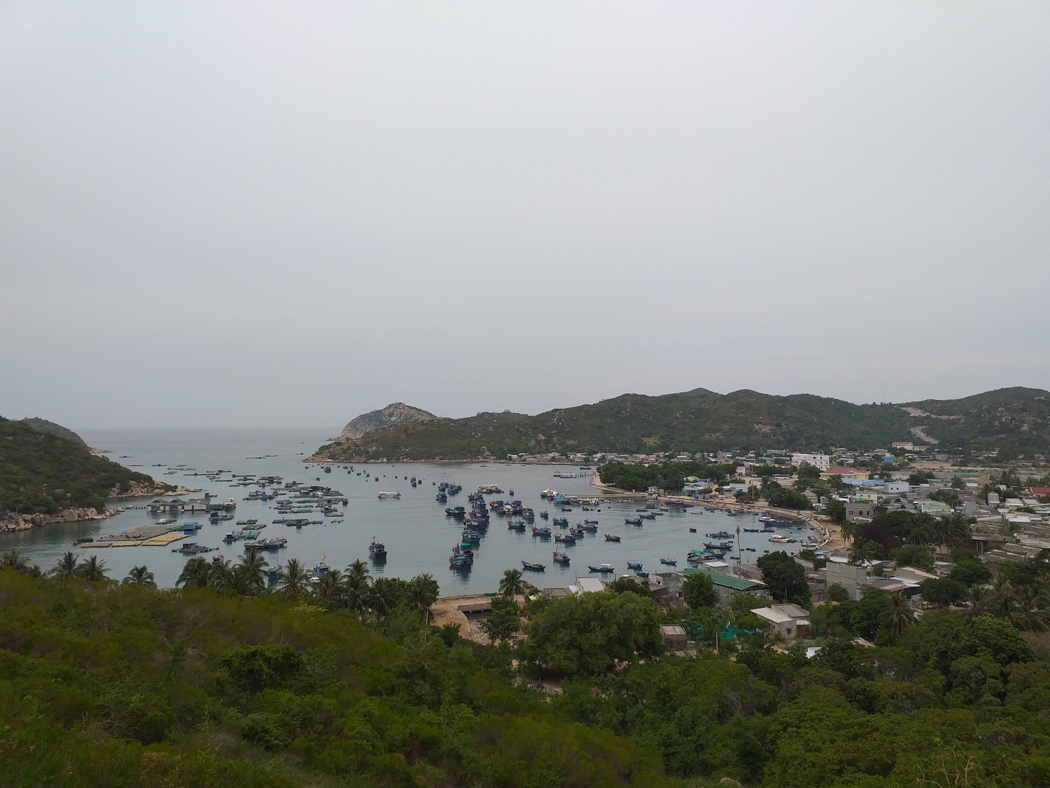 20190715_100958.jpg