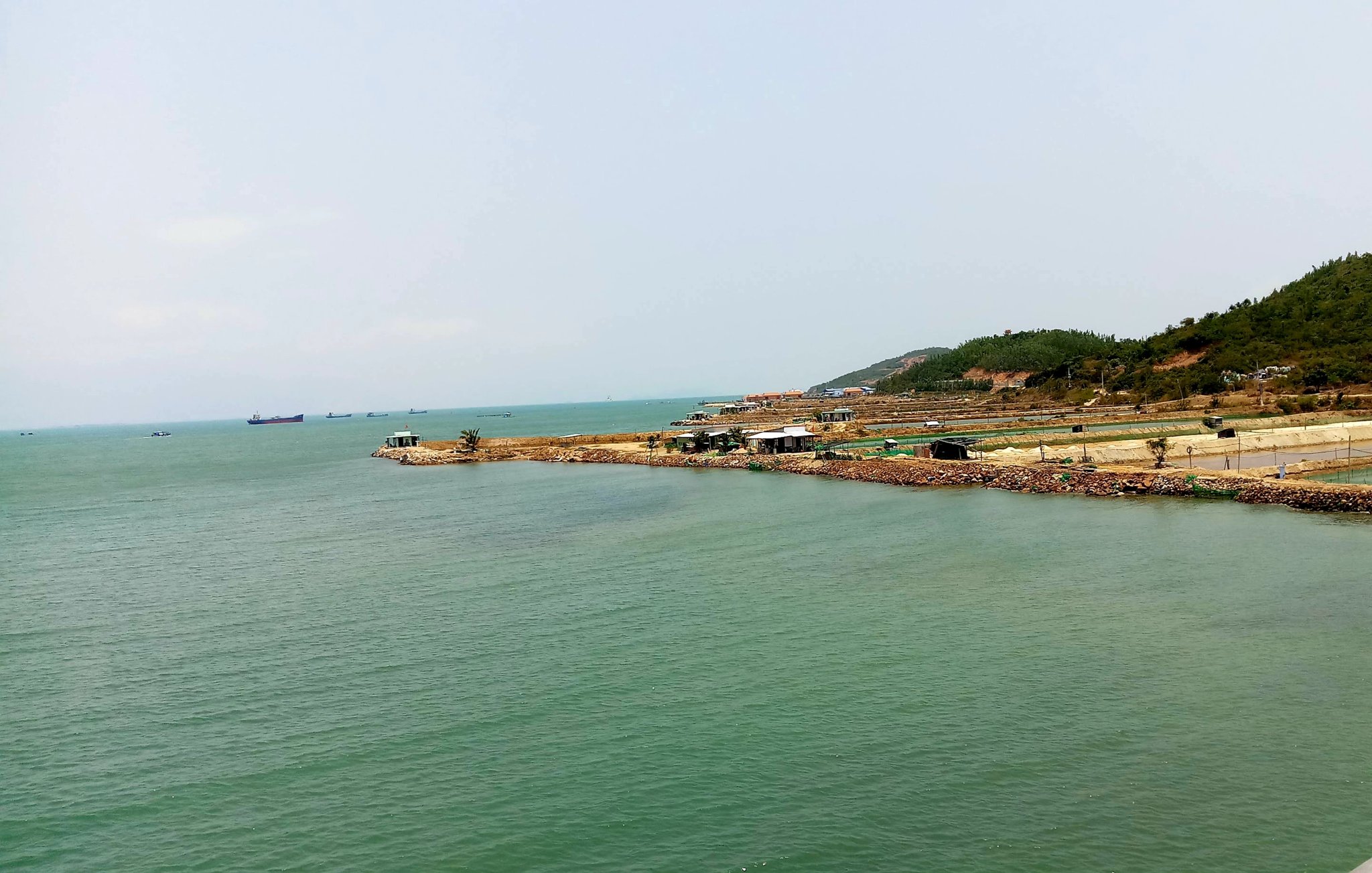 20190807_202000.jpg