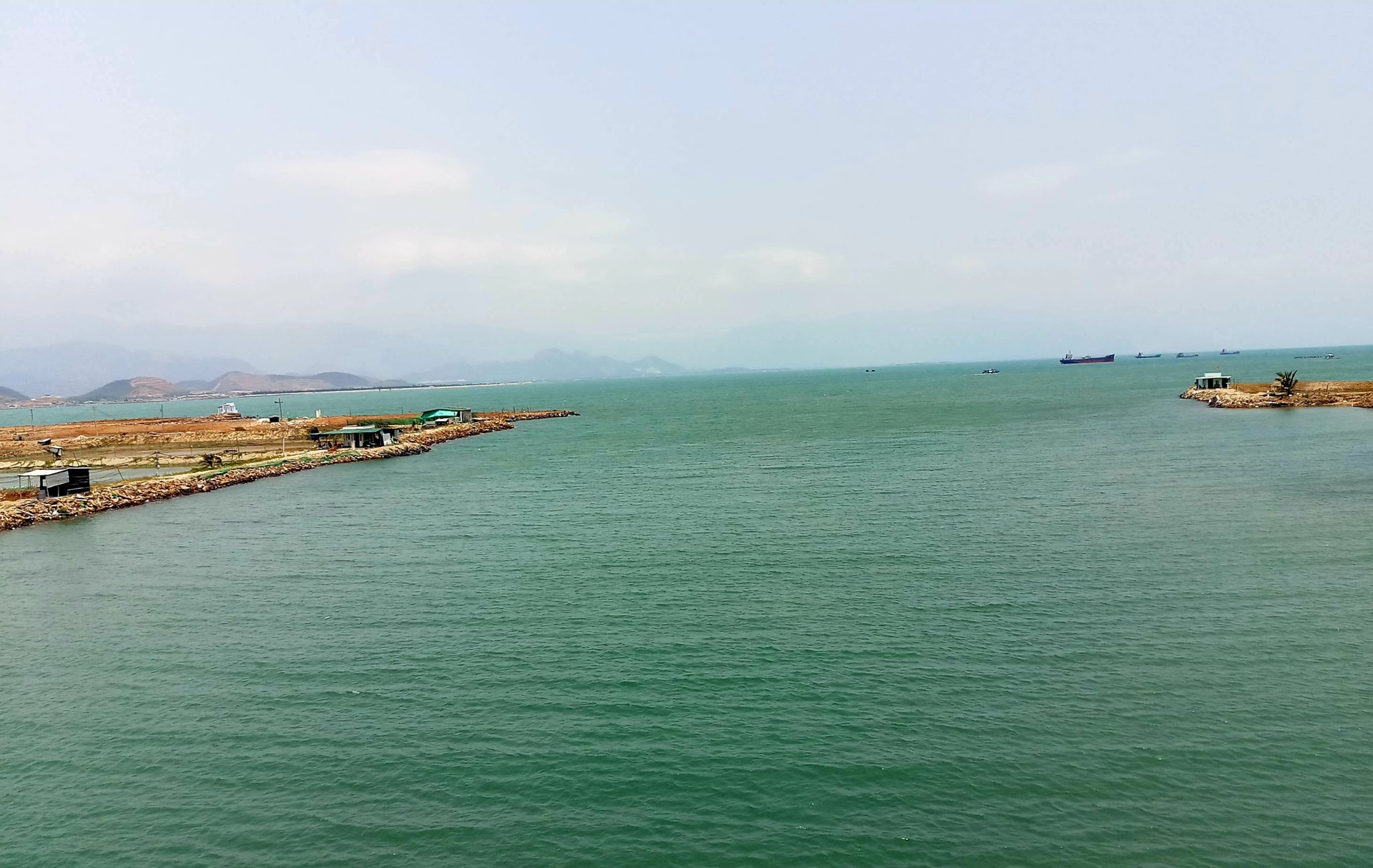 20190807_202016.jpg