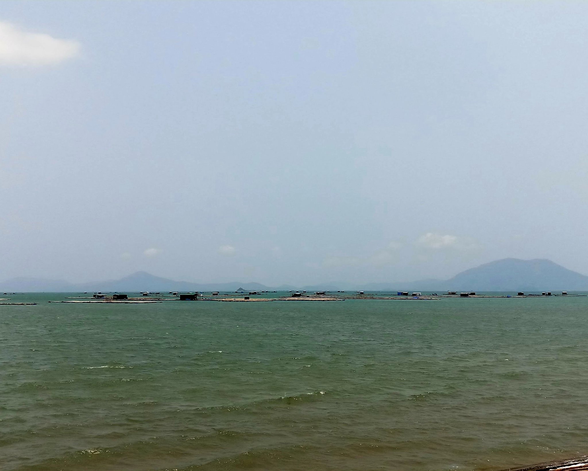 20190813_100022.jpg