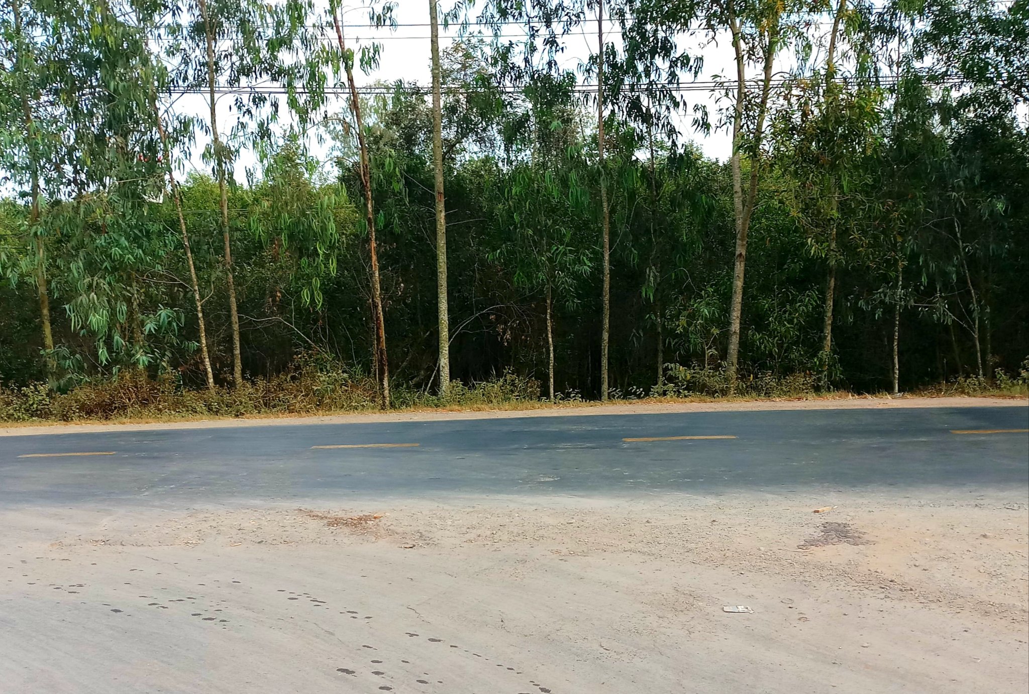 20190813_151619.jpg