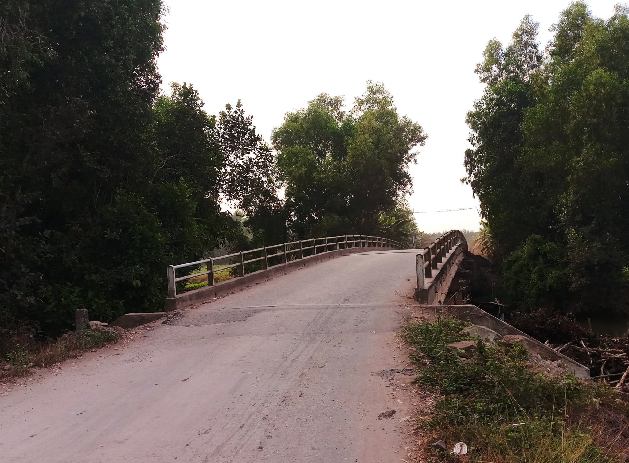 20190813_152219.jpg