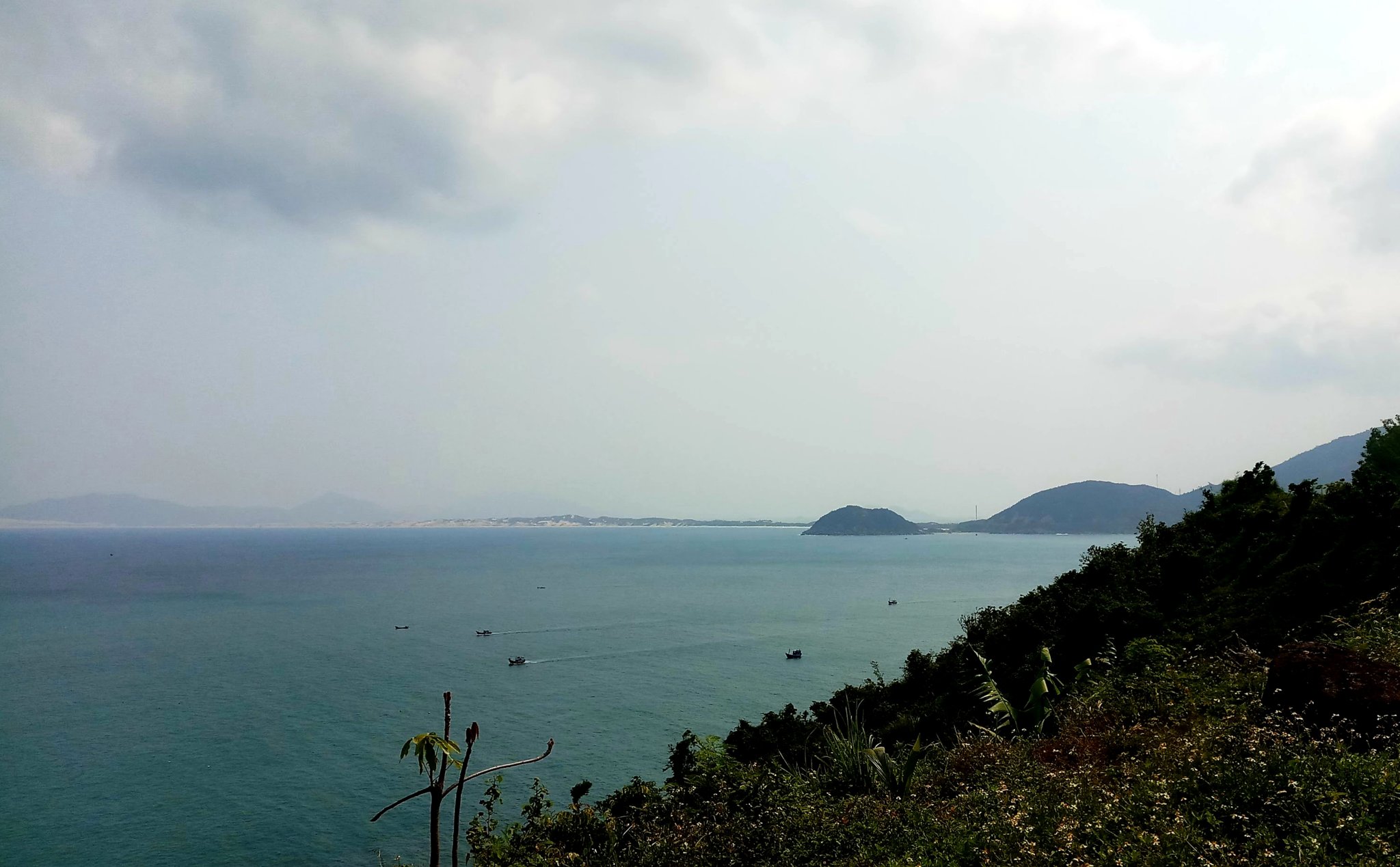 20190816_115808.jpg
