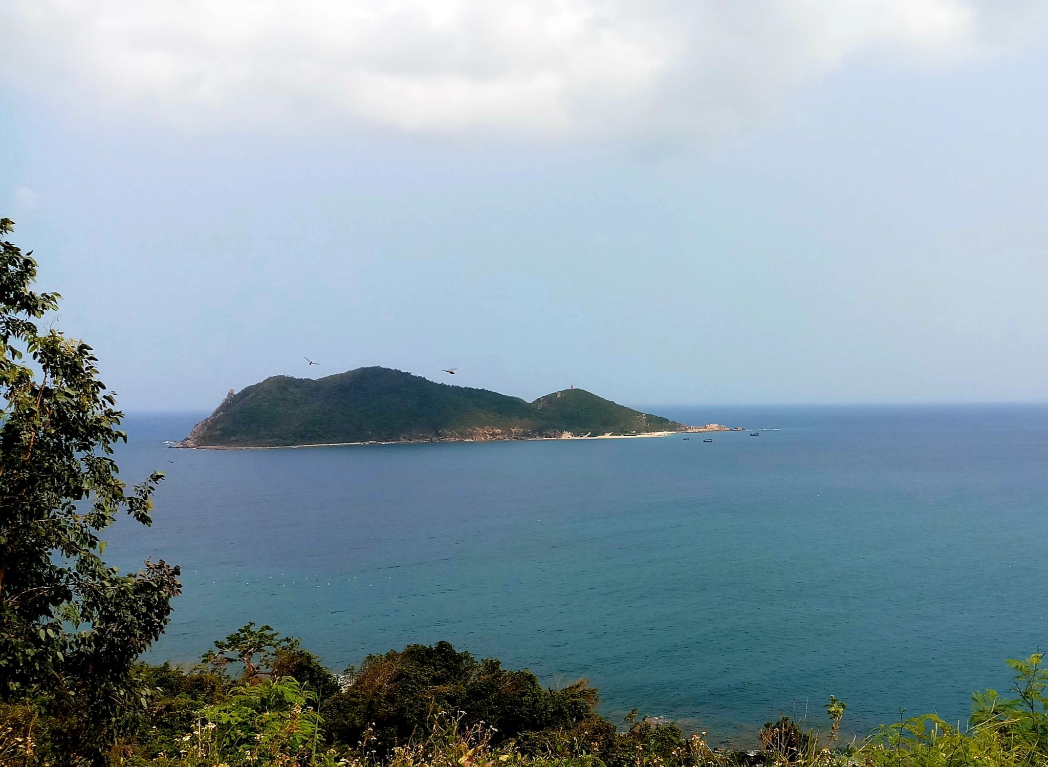 20190816_115842.jpg