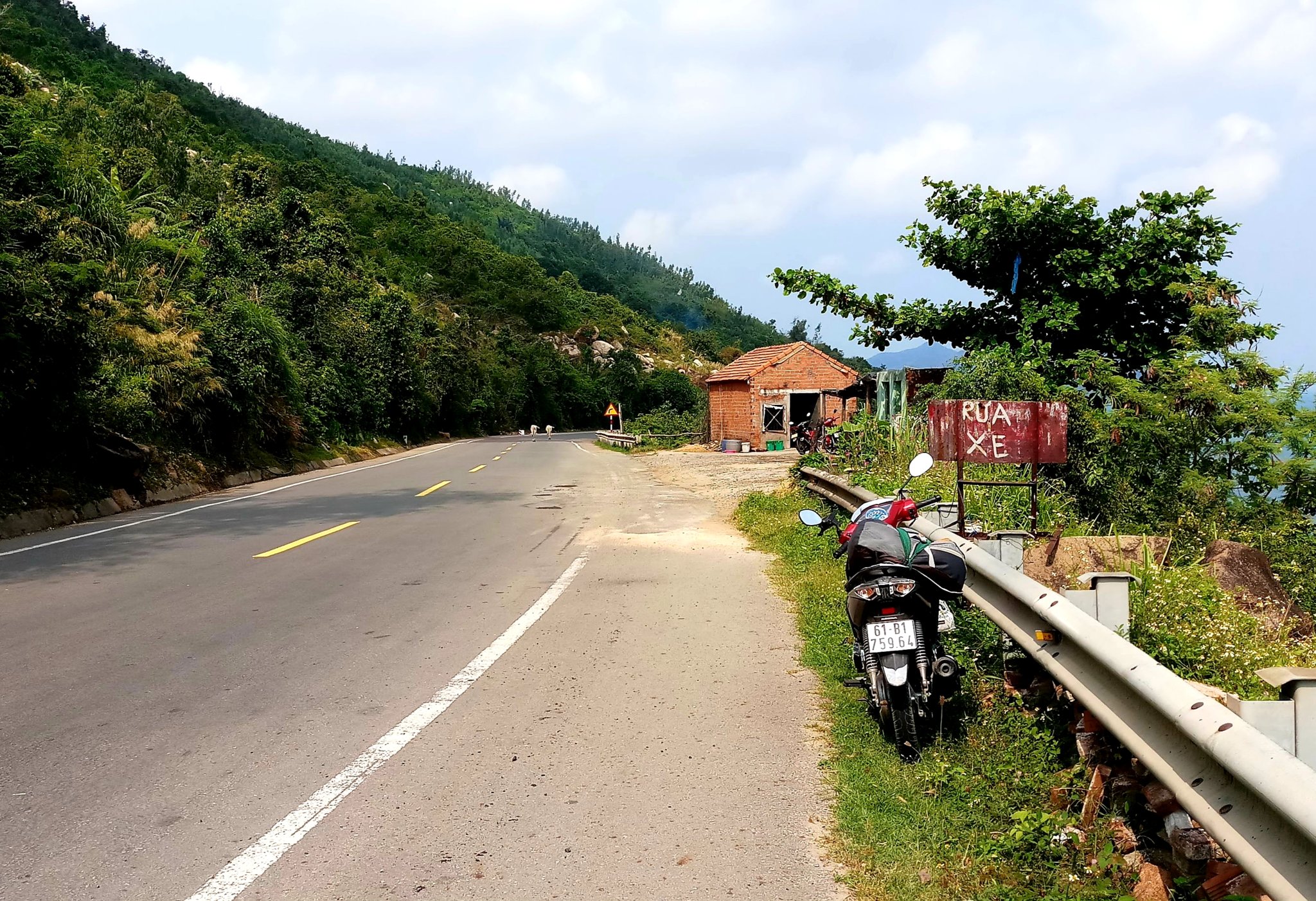 20190816_120107.jpg