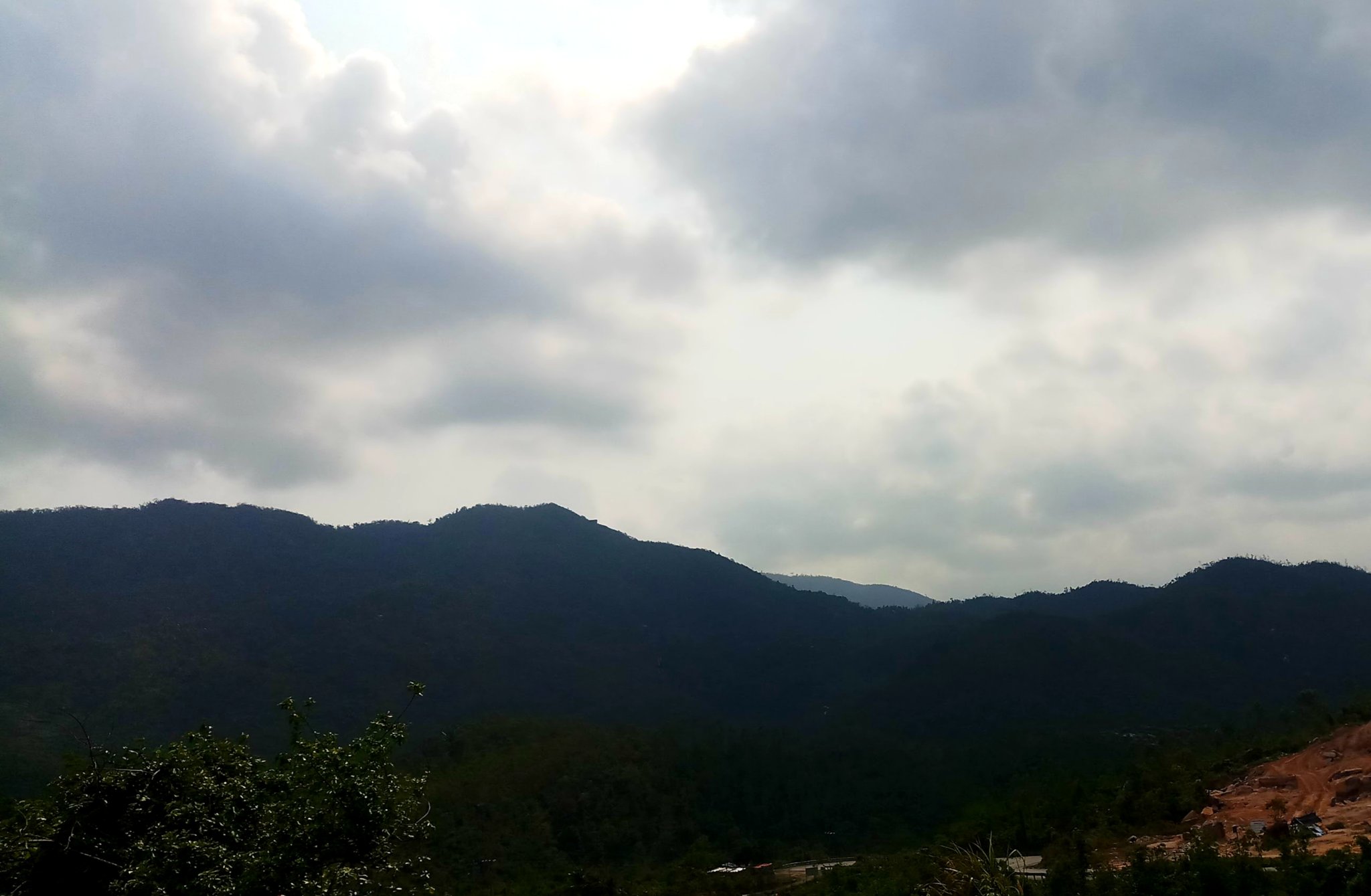 20190816_120425.jpg