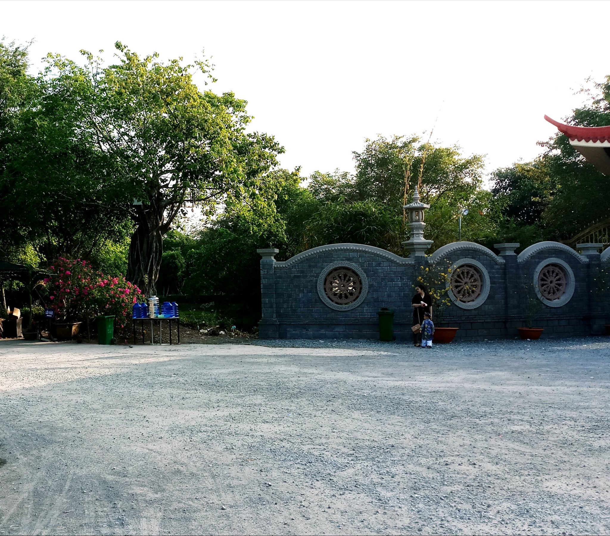 20190817_062343.jpg