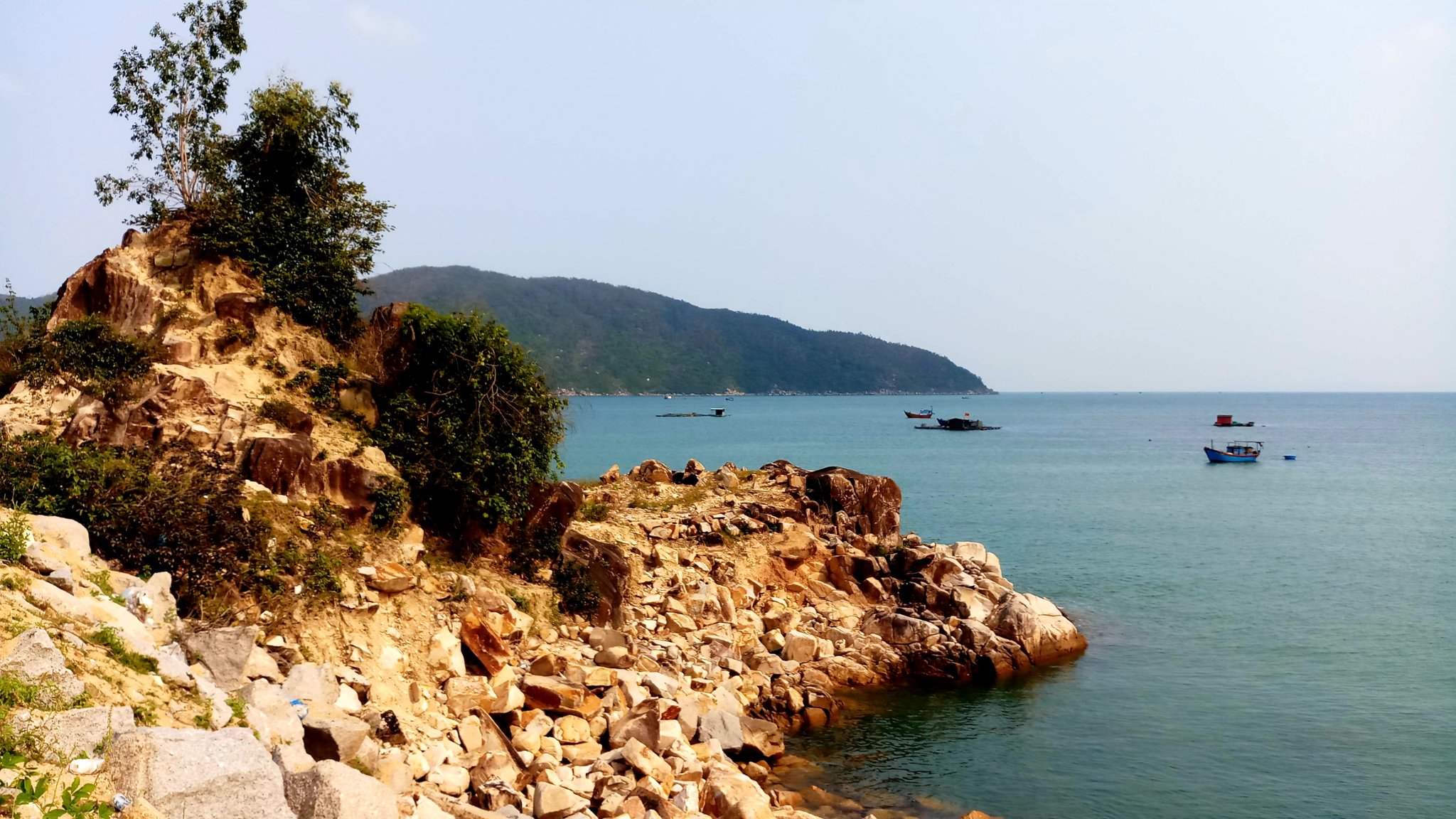 20190818_220626.jpg