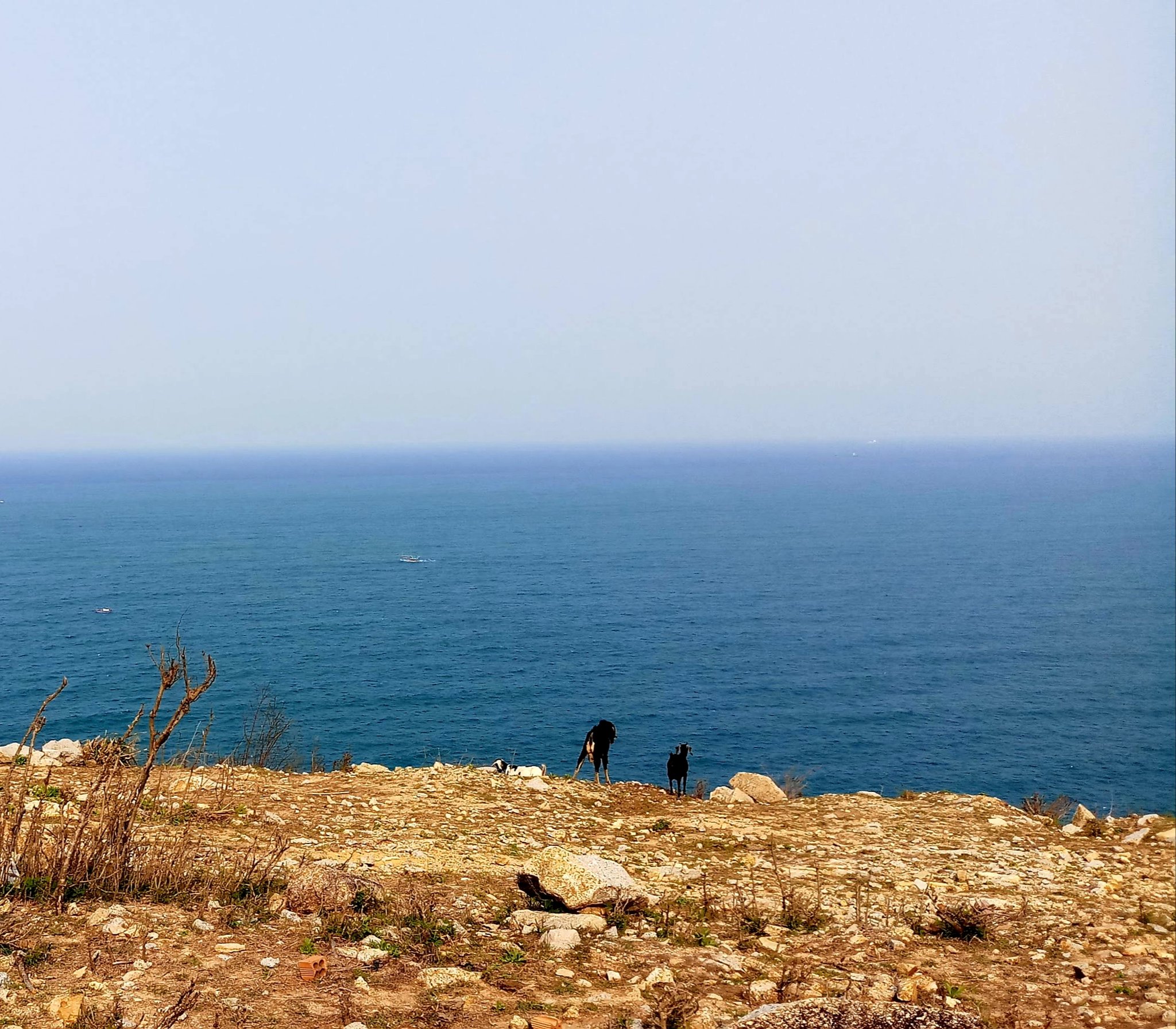 20190822_065156.jpg