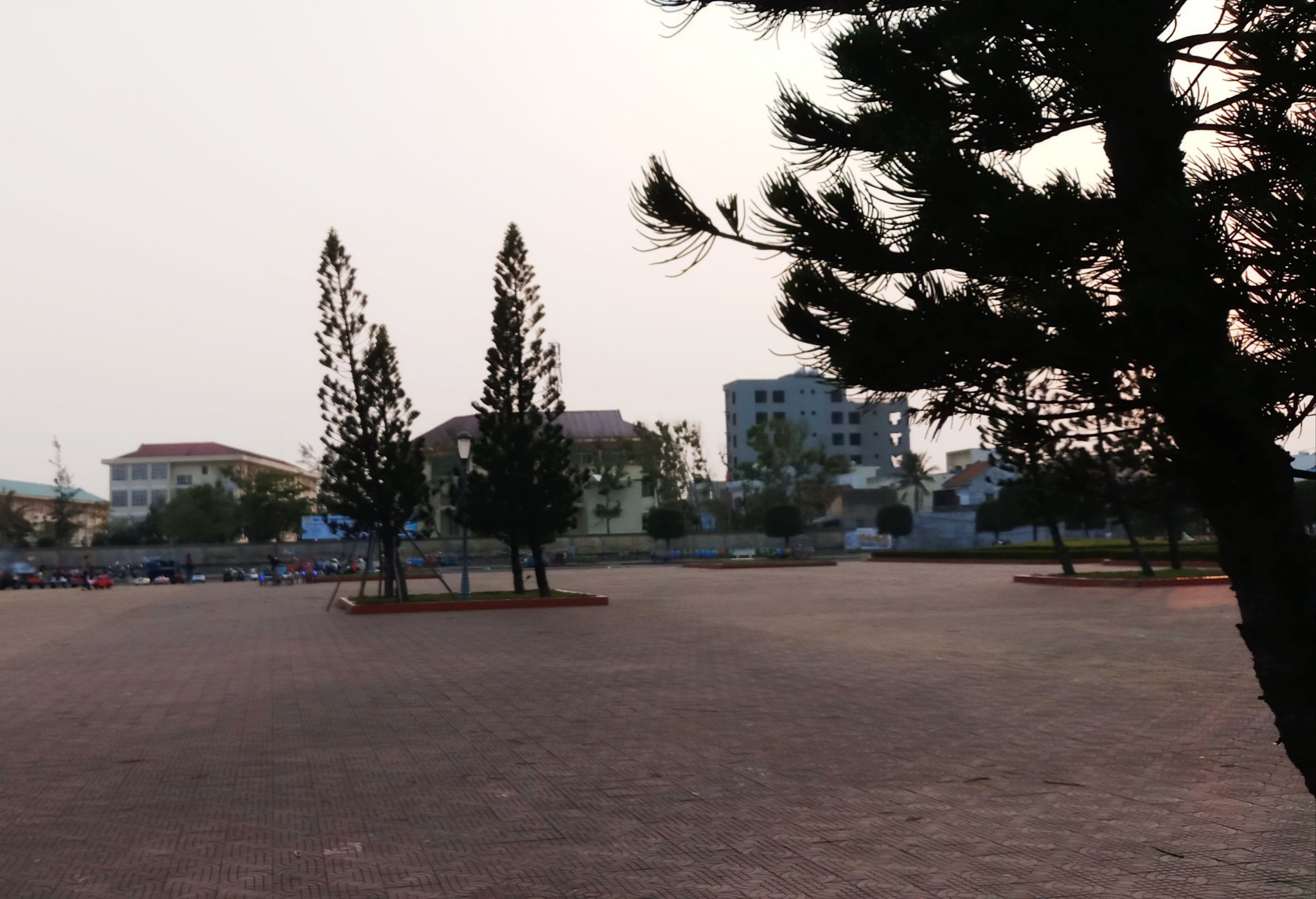 20190824_114921.jpg