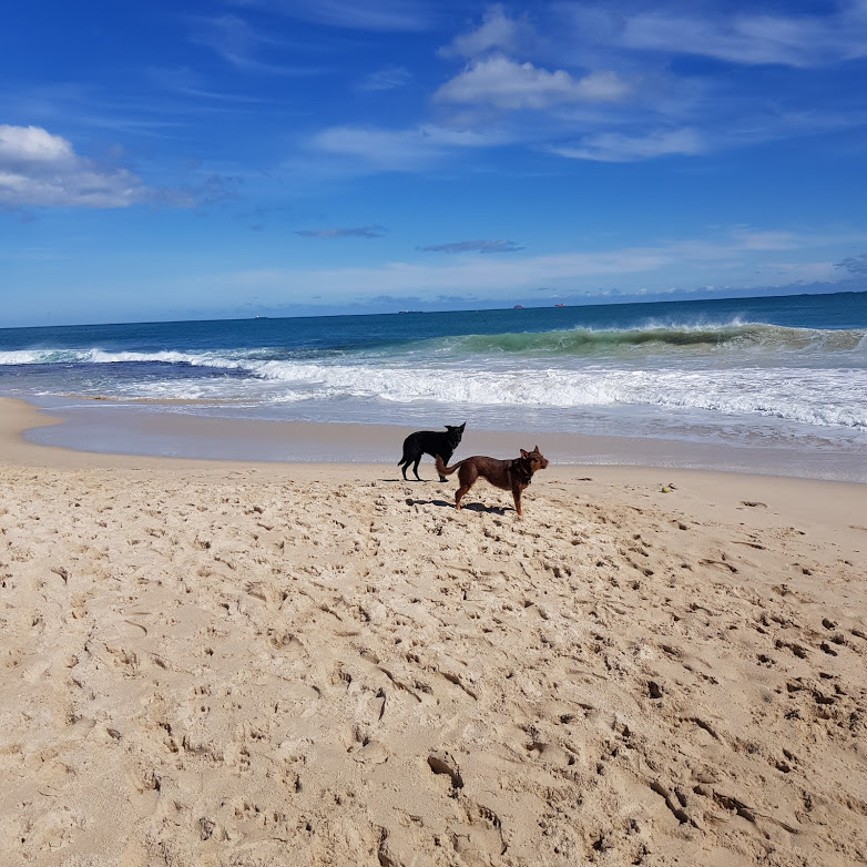 20190824_115855.jpg