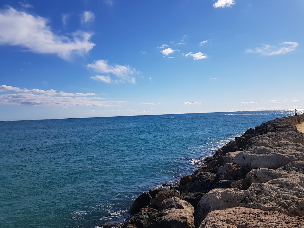 20190824_152339.jpg