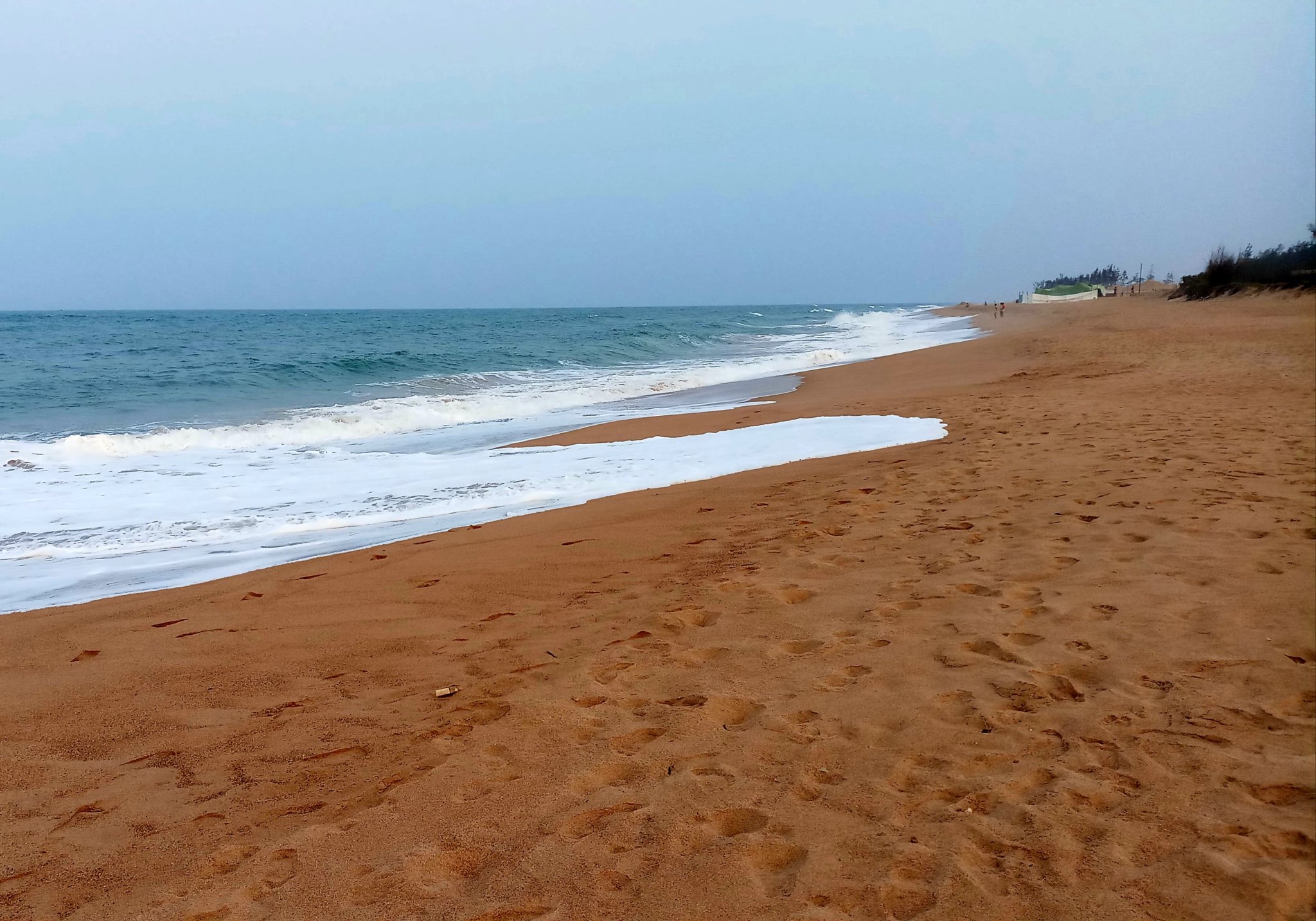 20190827_220207.jpg