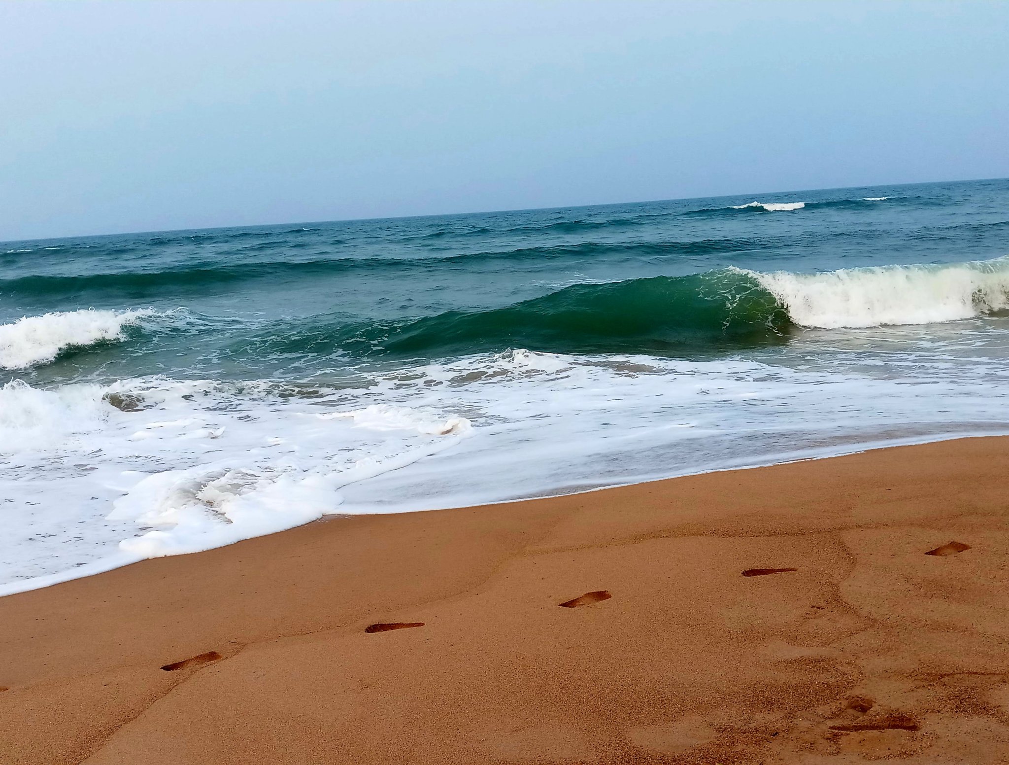 20190827_220259.jpg