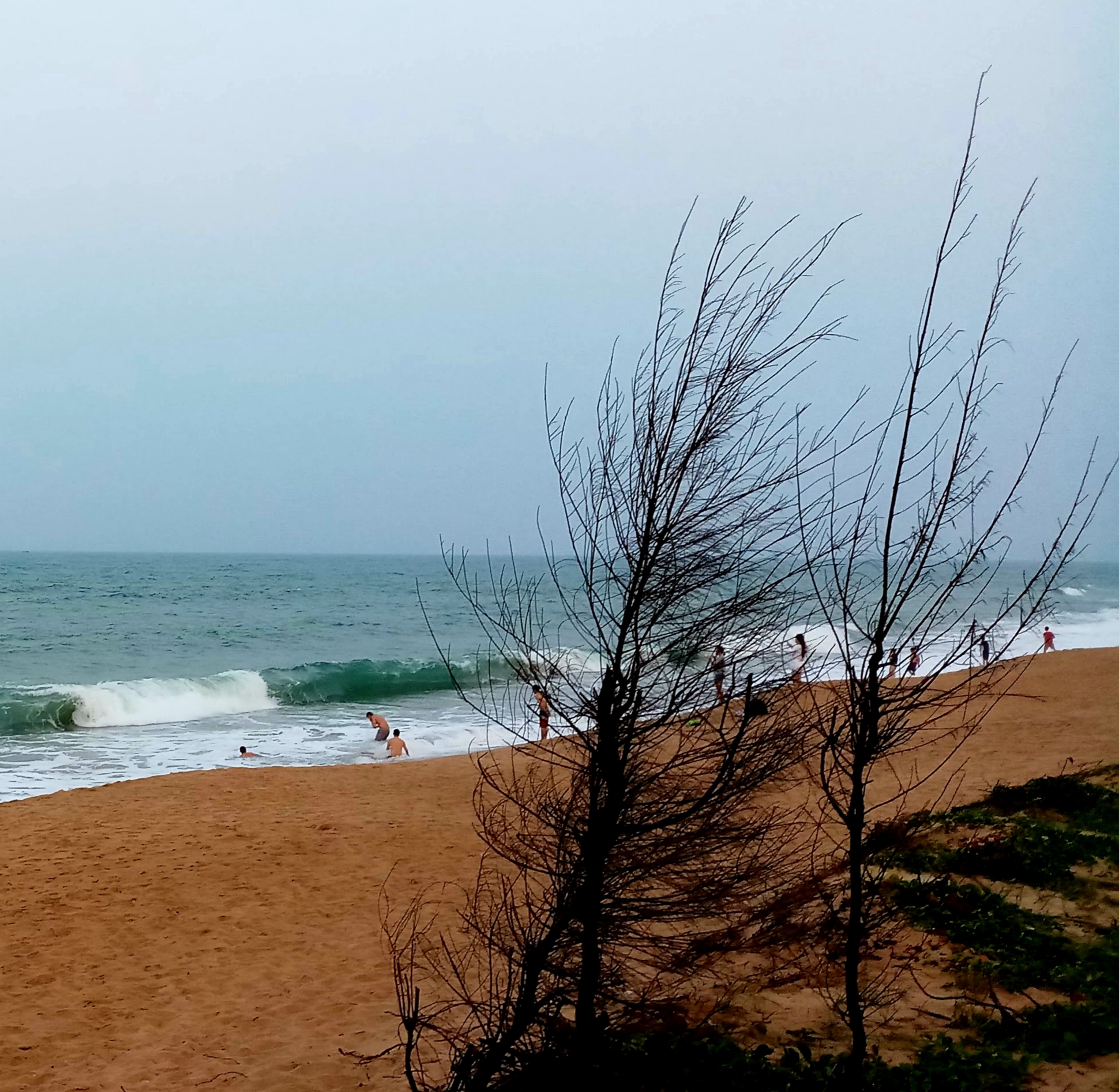 20190907_224921.jpg