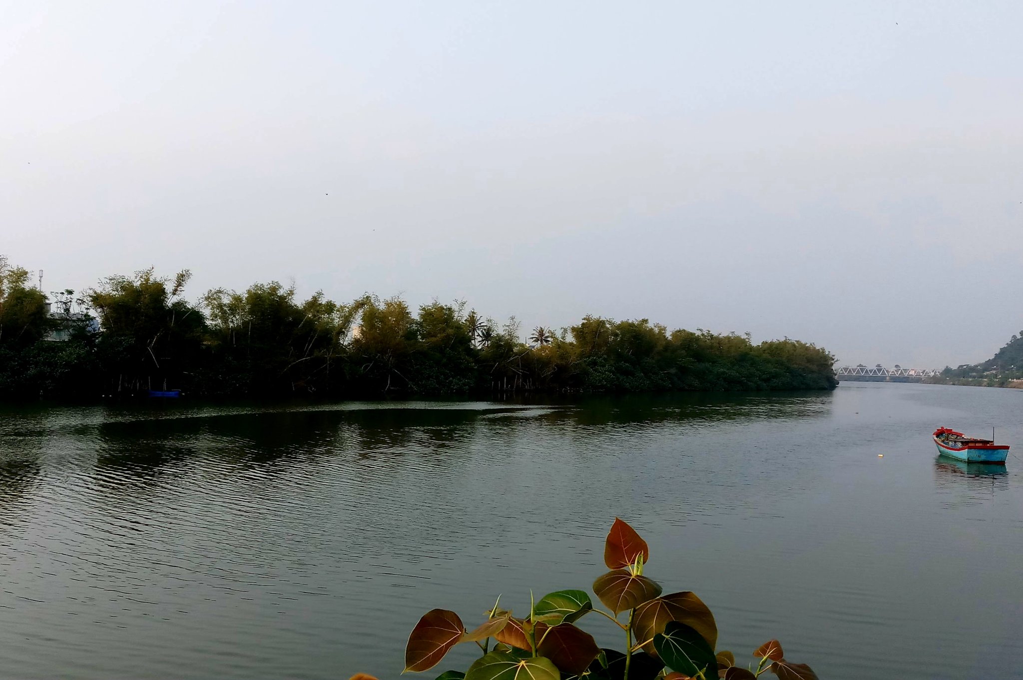 20190913_204553.jpg