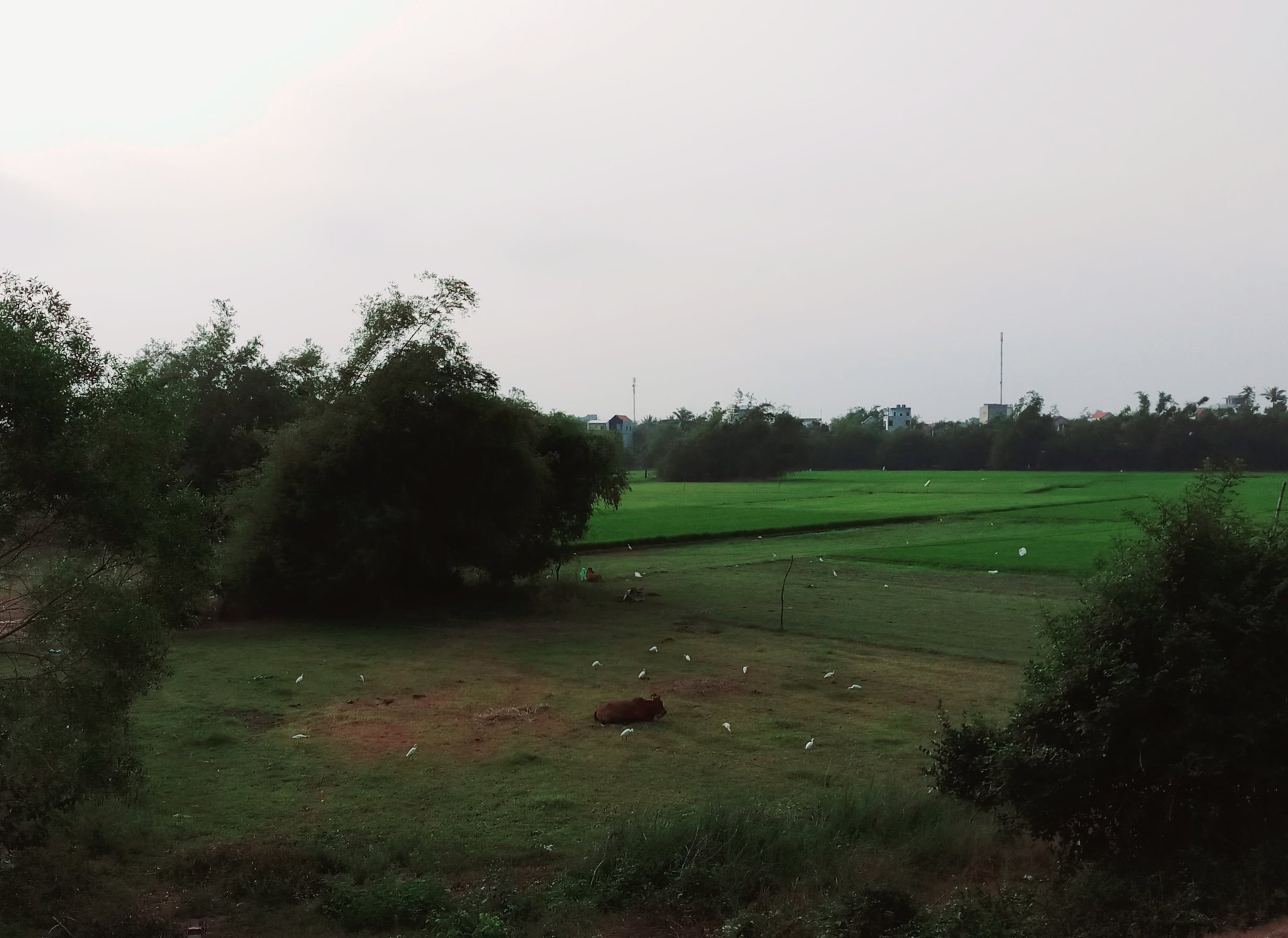 20190916_175808.jpg