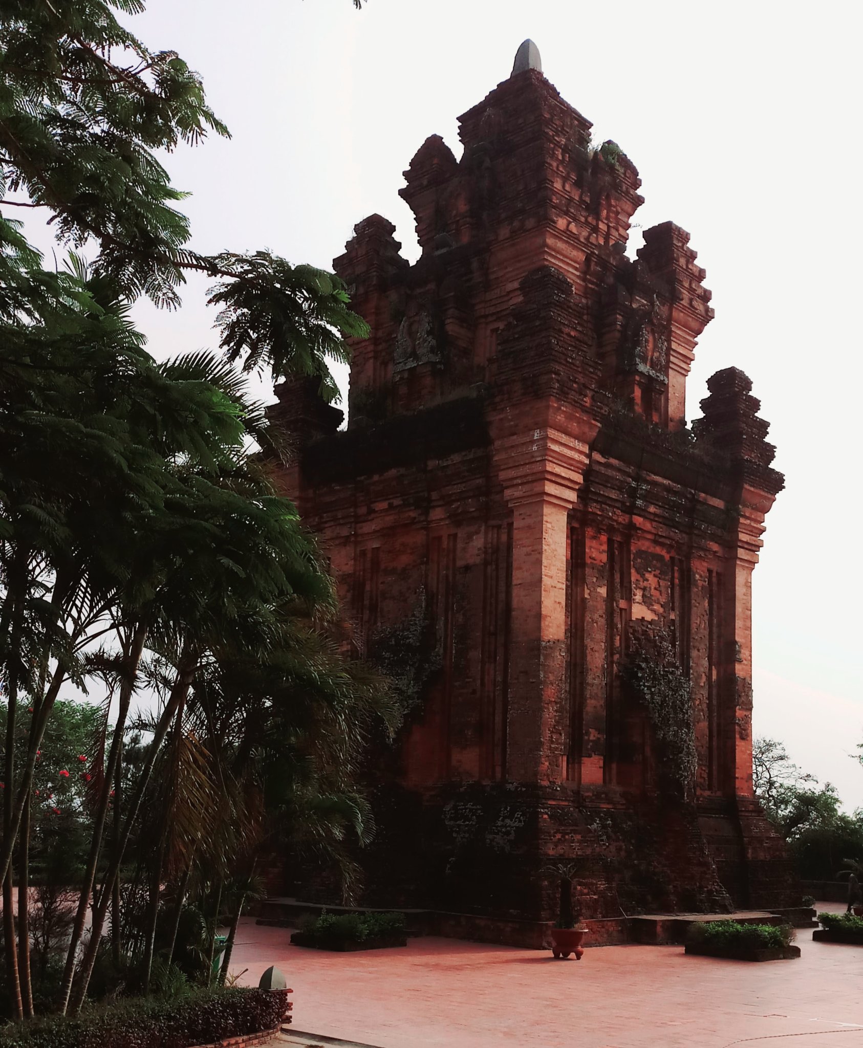 20190916_180118.jpg