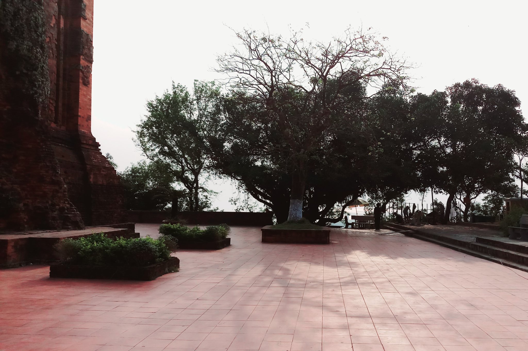 20190916_202035.jpg
