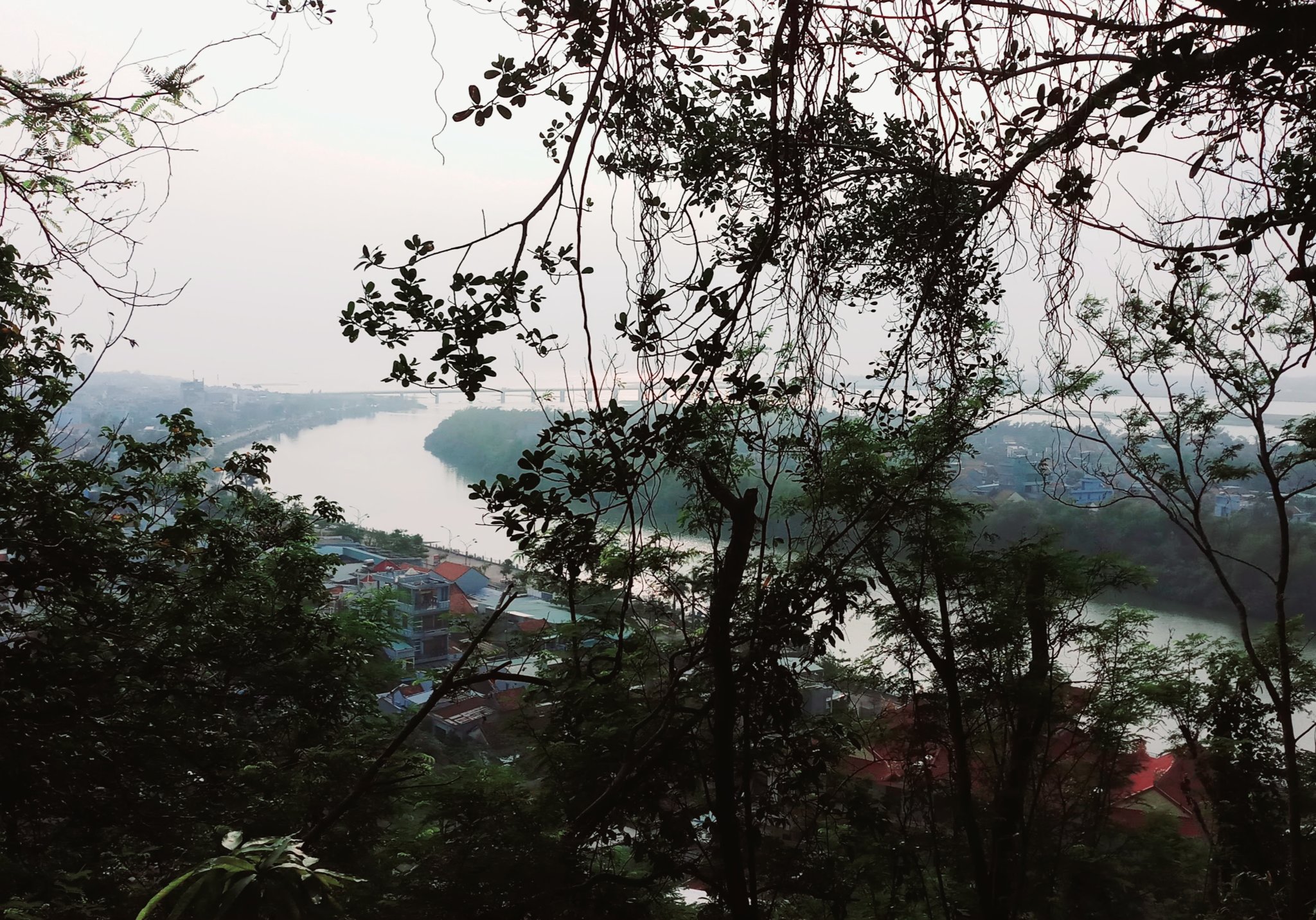 20190916_211421.jpg