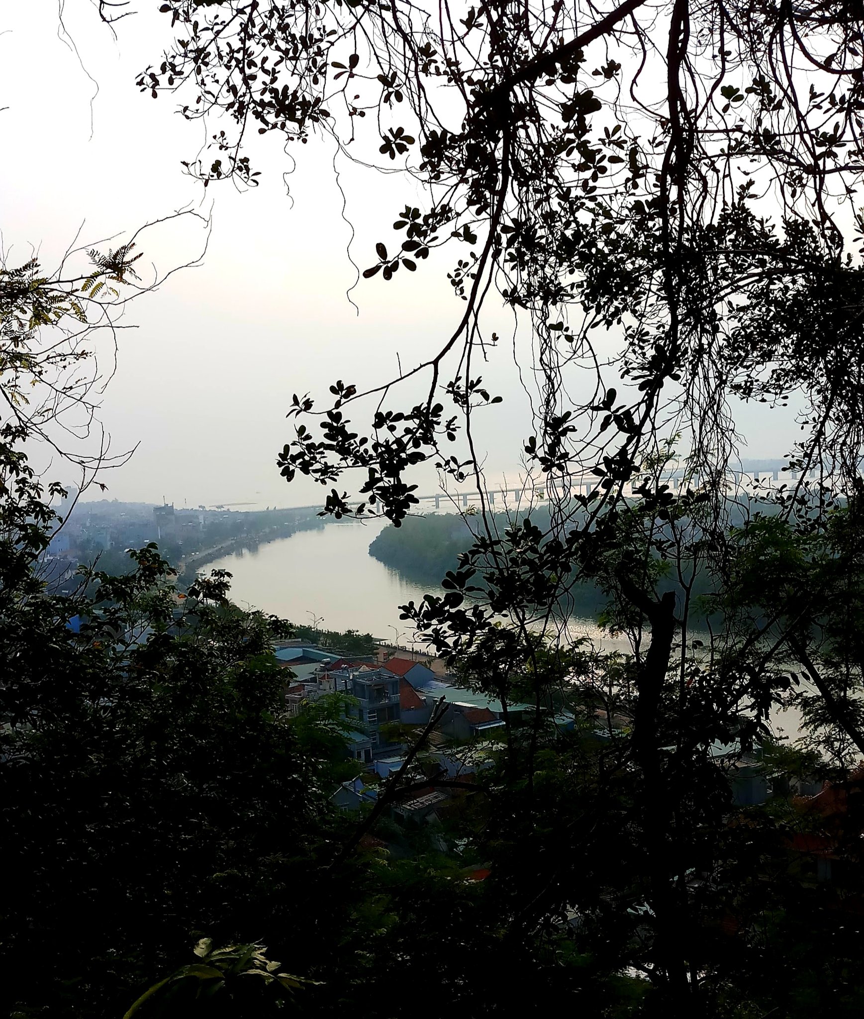 20190916_211447.jpg