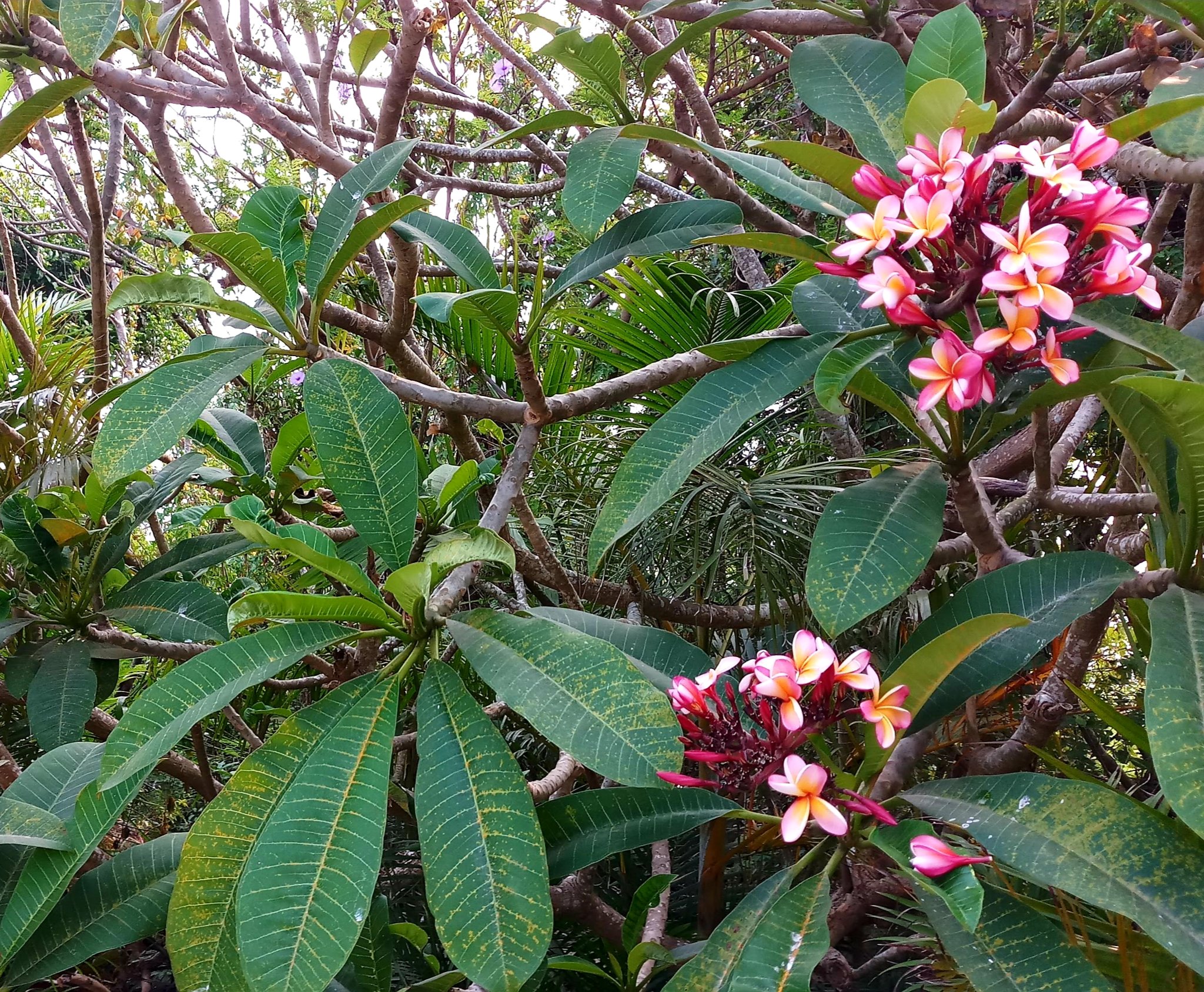 20190916_211601.jpg